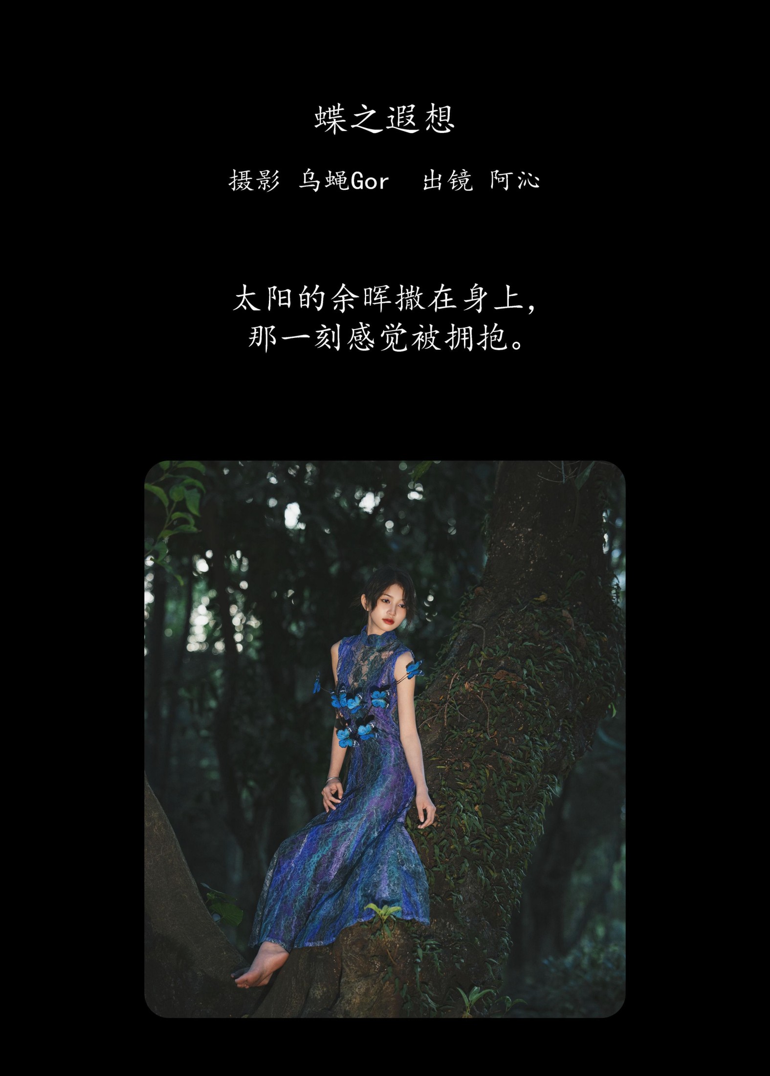 图片[2] - 阿沁 - 《蝶之遐想》[27P] - 机器猫次元 - 机器猫次元