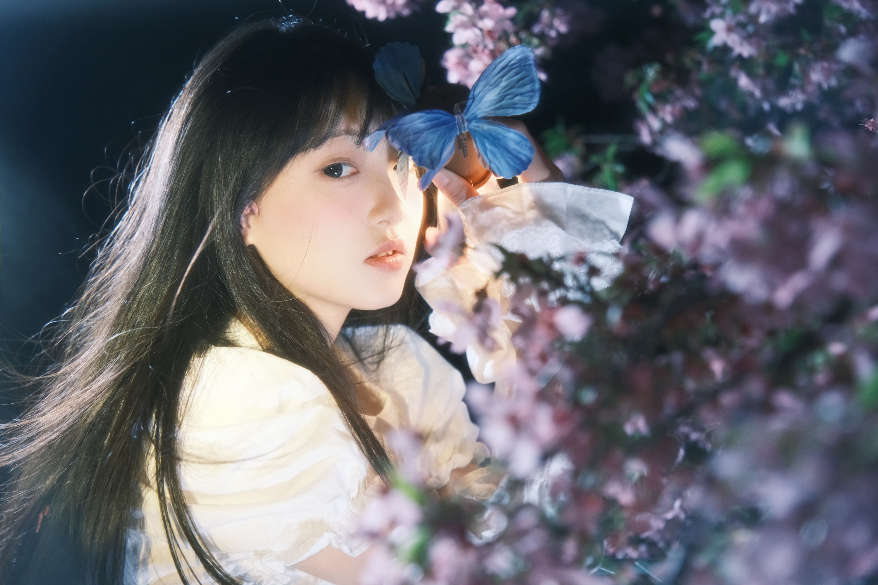 图片[4] - 冷酷王爷 - 《葬樱》[28P] - 机器猫次元 - 机器猫次元