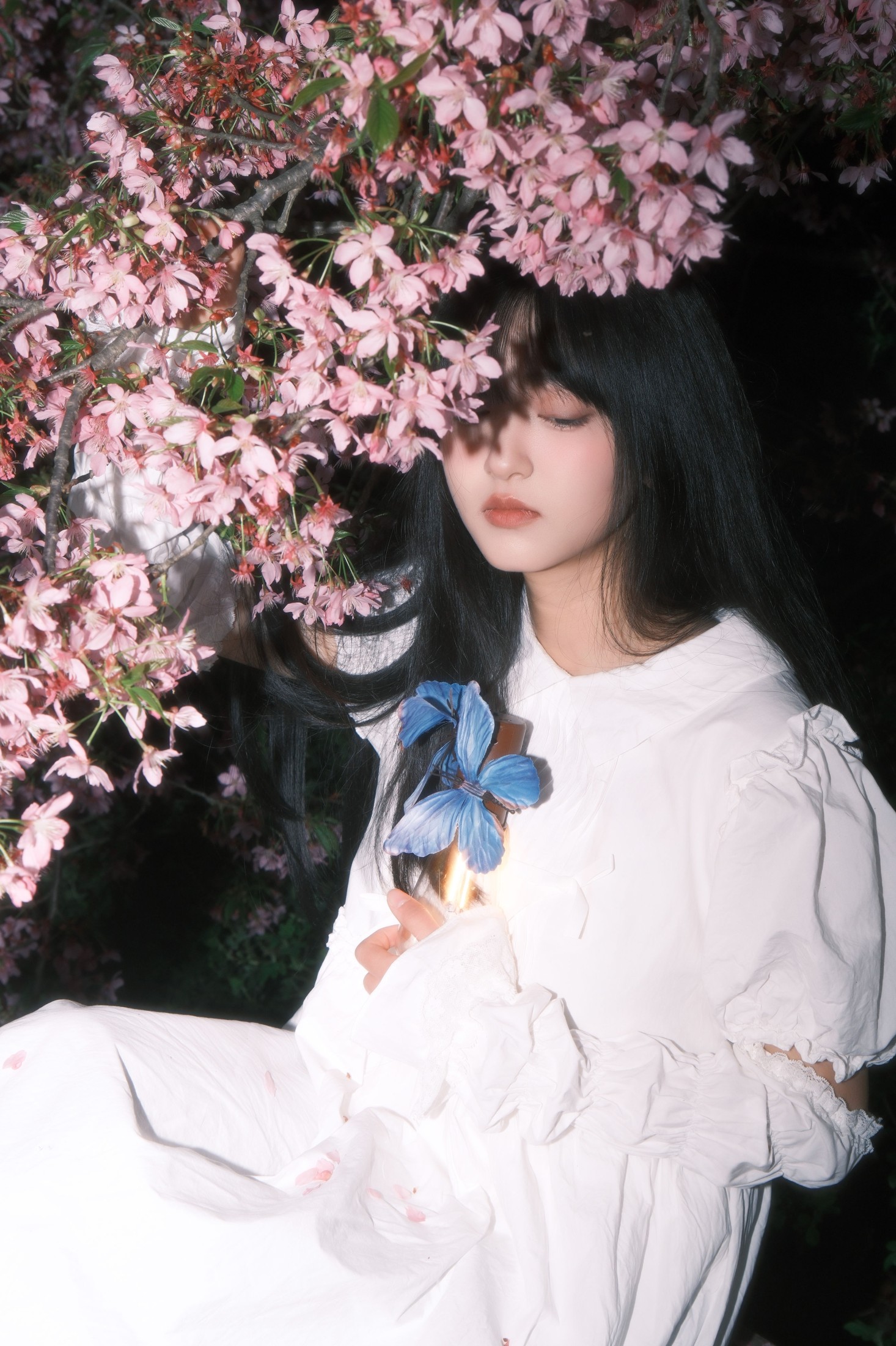 图片[3] - 冷酷王爷 - 《葬樱》[28P] - 机器猫次元 - 机器猫次元