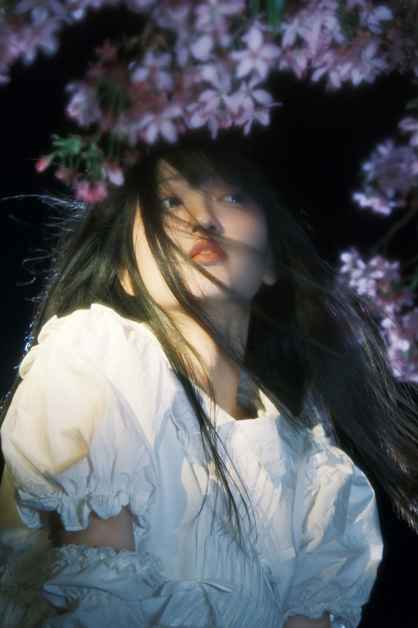 图片[5] - 冷酷王爷 - 《葬樱》[28P] - 机器猫次元 - 机器猫次元