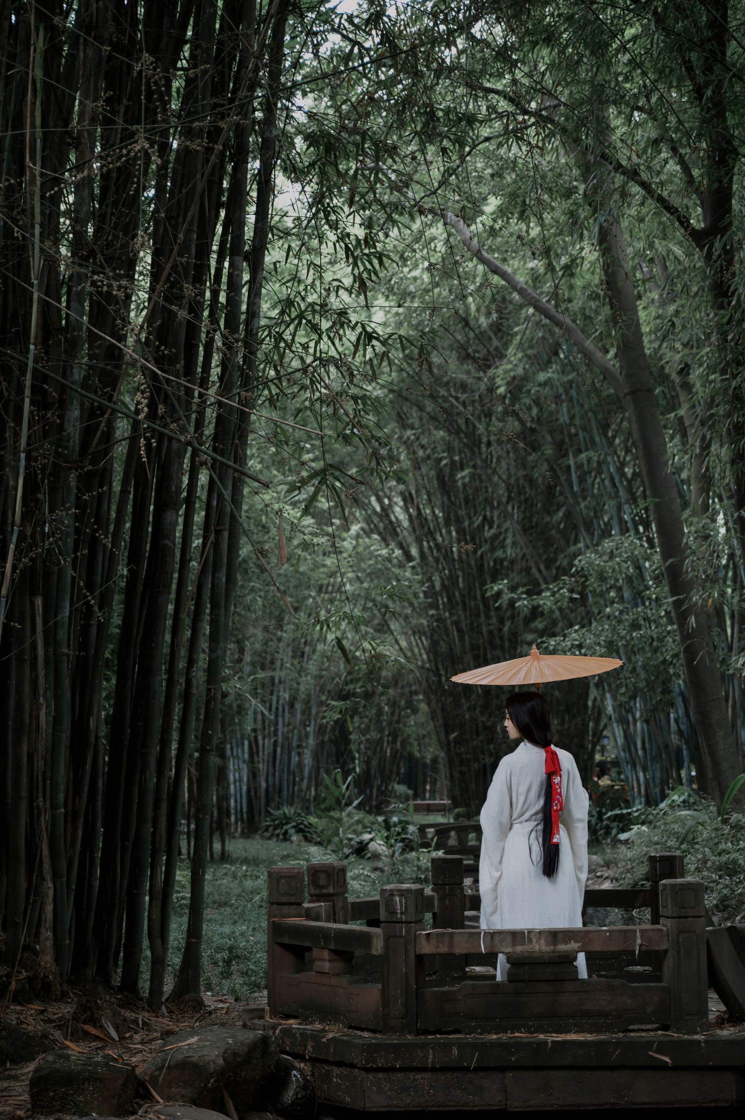图片[5] - 瑾年 - 《清竹》[16P] - 机器猫次元 - 机器猫次元
