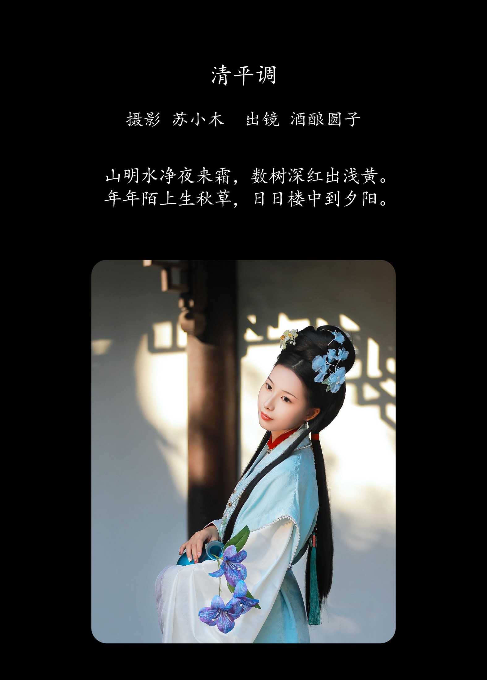 图片[2] - 酒酿圆子 - 《清平调》[24P] - 机器猫次元 - 机器猫次元