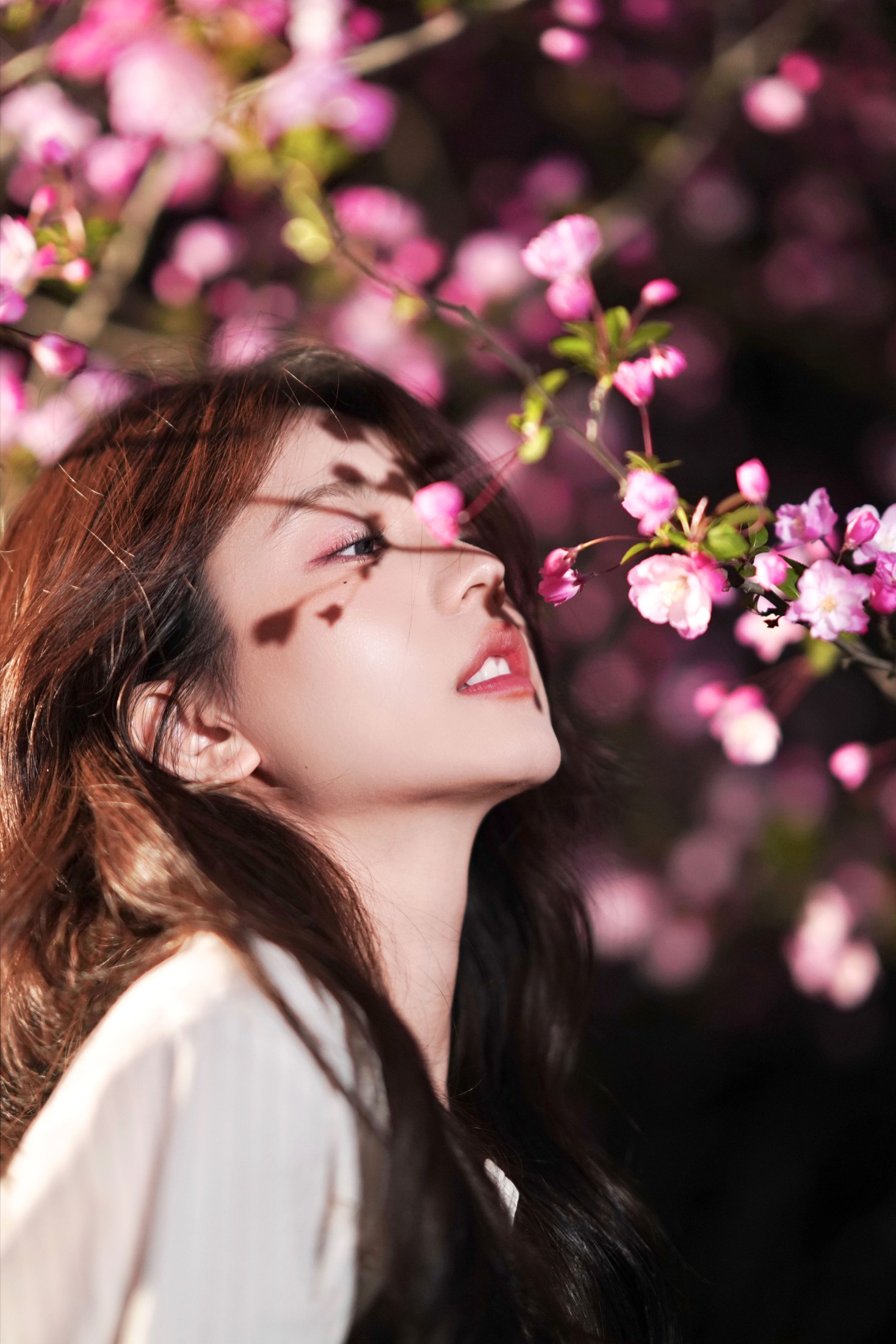 图片[8] - Enndme - 《海棠花开》[16P] - 机器猫次元 - 机器猫次元