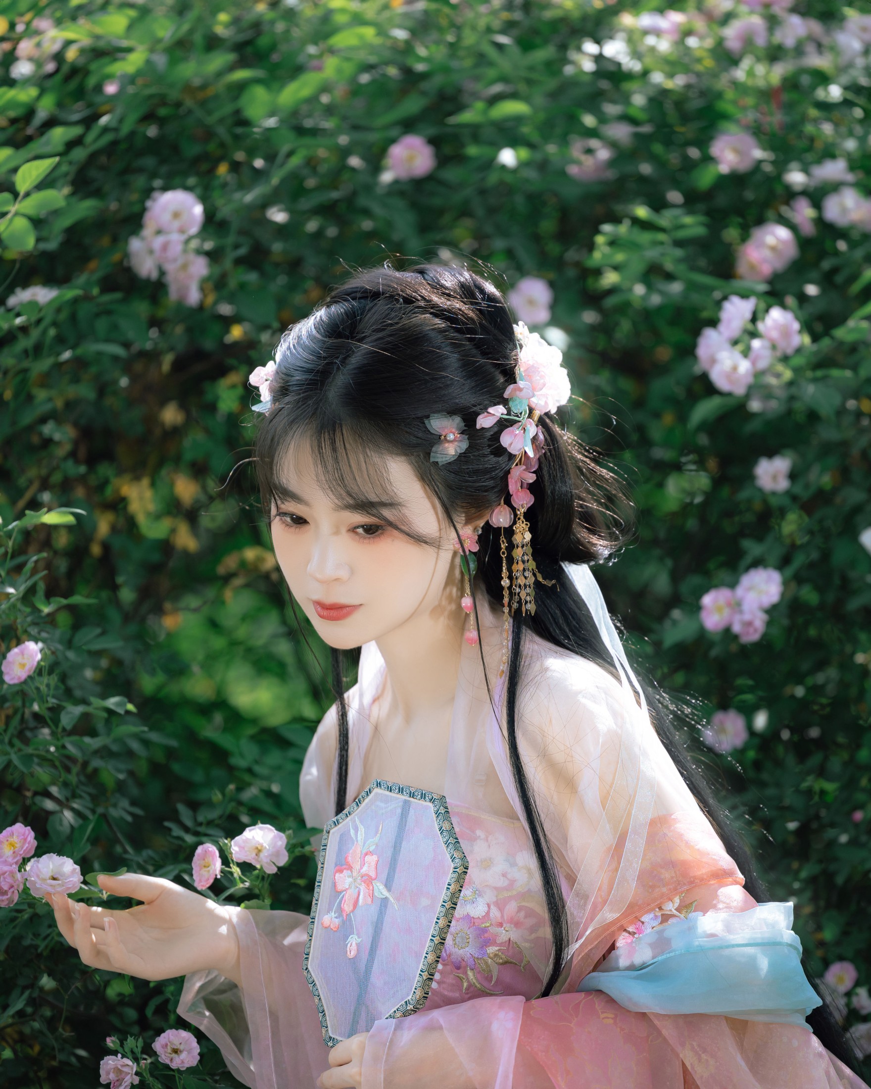 图片[3] - 安风 - 《蔷薇》[21P] - 机器猫次元 - 机器猫次元
