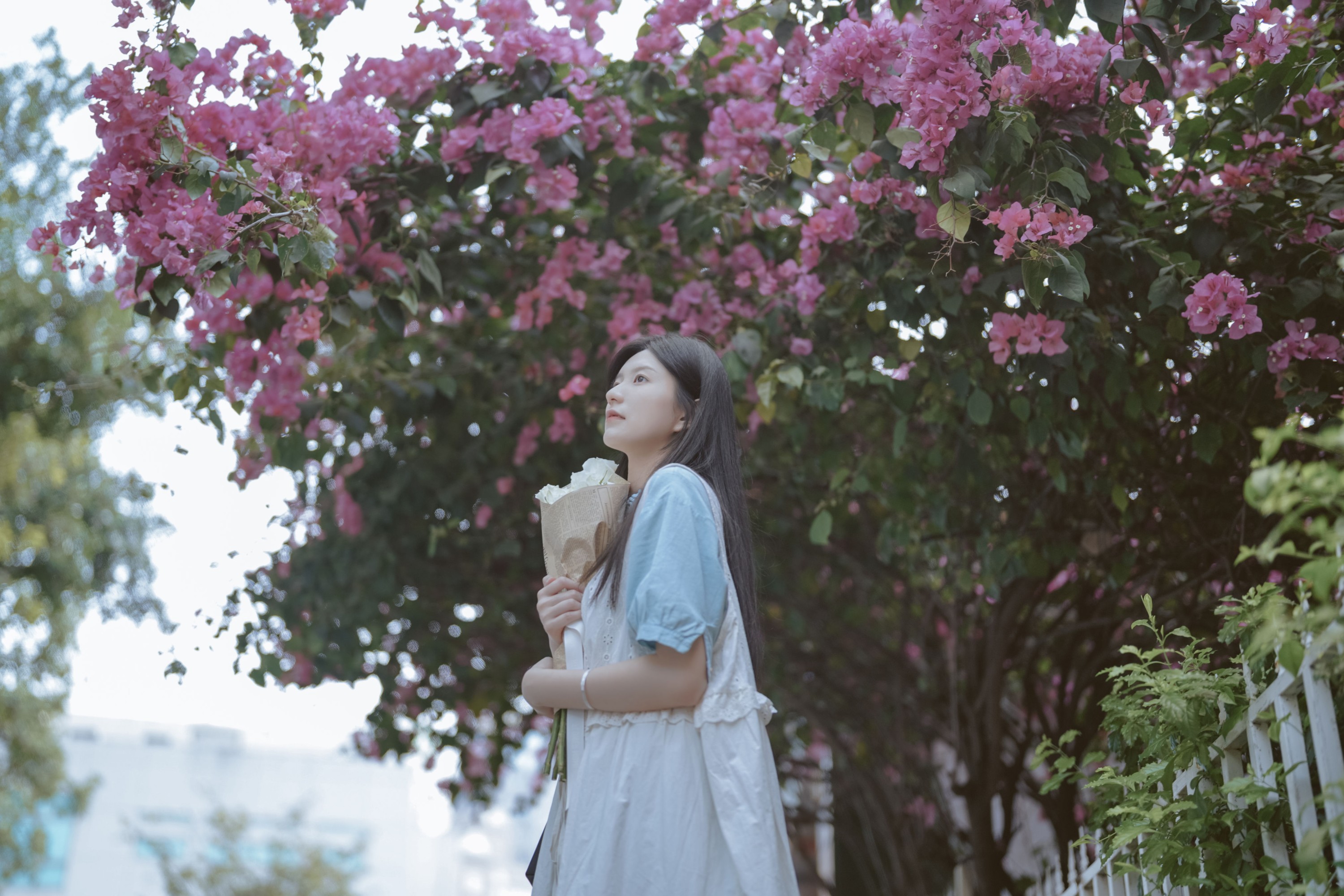 图片[4] - 不爱喝水的阿水_ - 《如烟》[23P] - 机器猫次元 - 机器猫次元