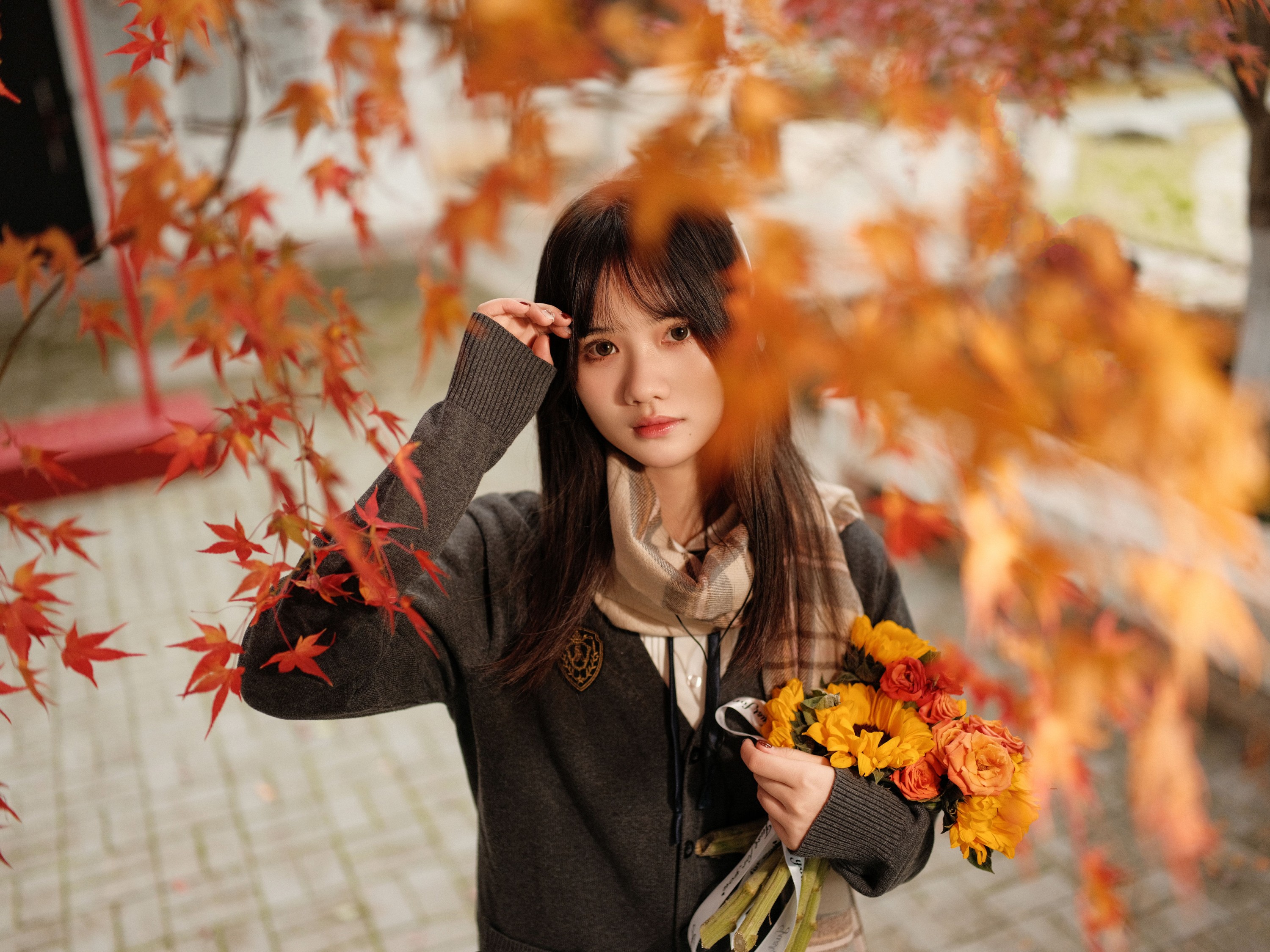 图片[8] - 不许翘二郎腿 - 《枫叶醉人颜》[23P] - 机器猫次元 - 机器猫次元