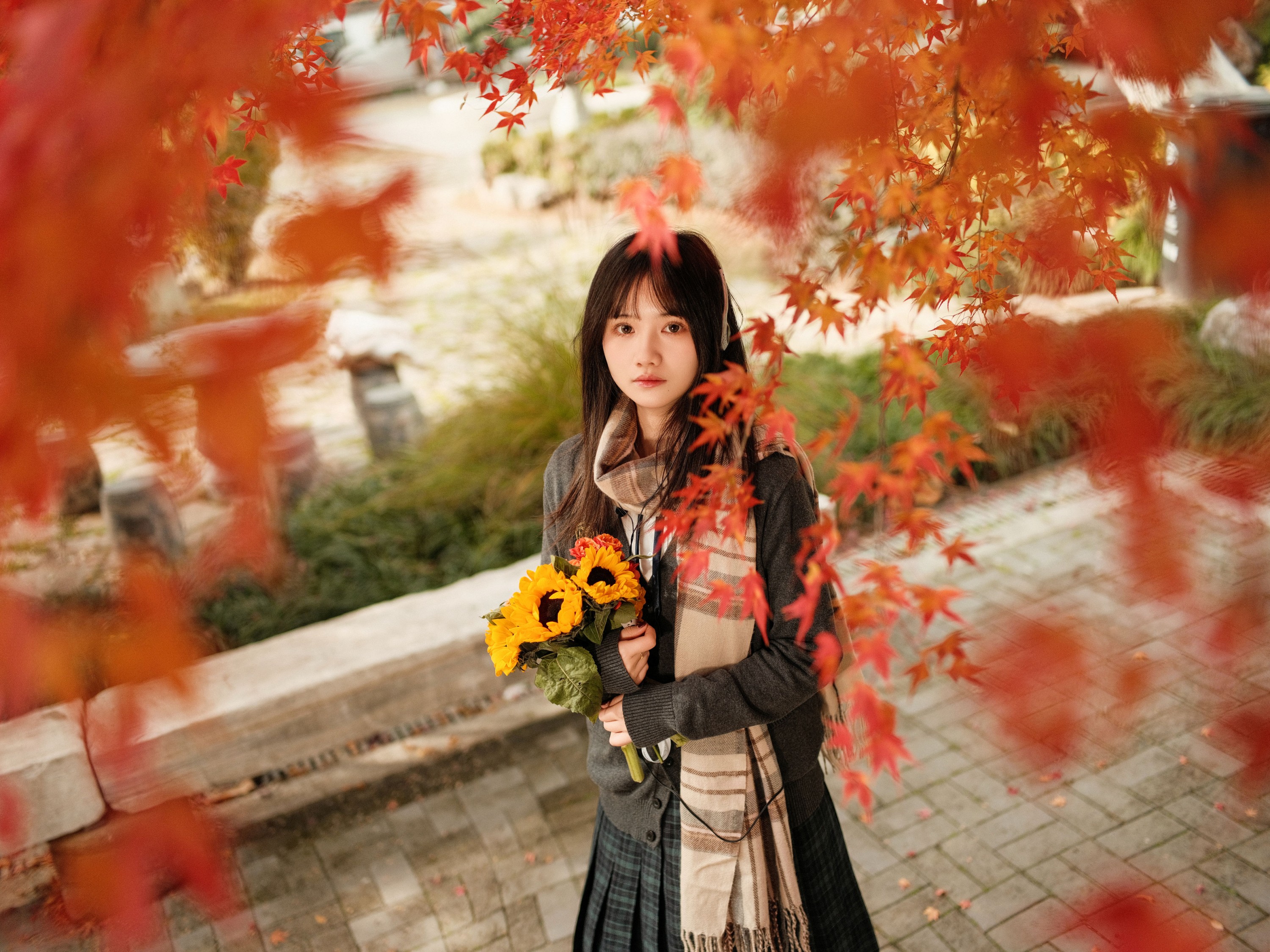 图片[5] - 不许翘二郎腿 - 《枫叶醉人颜》[23P] - 机器猫次元 - 机器猫次元