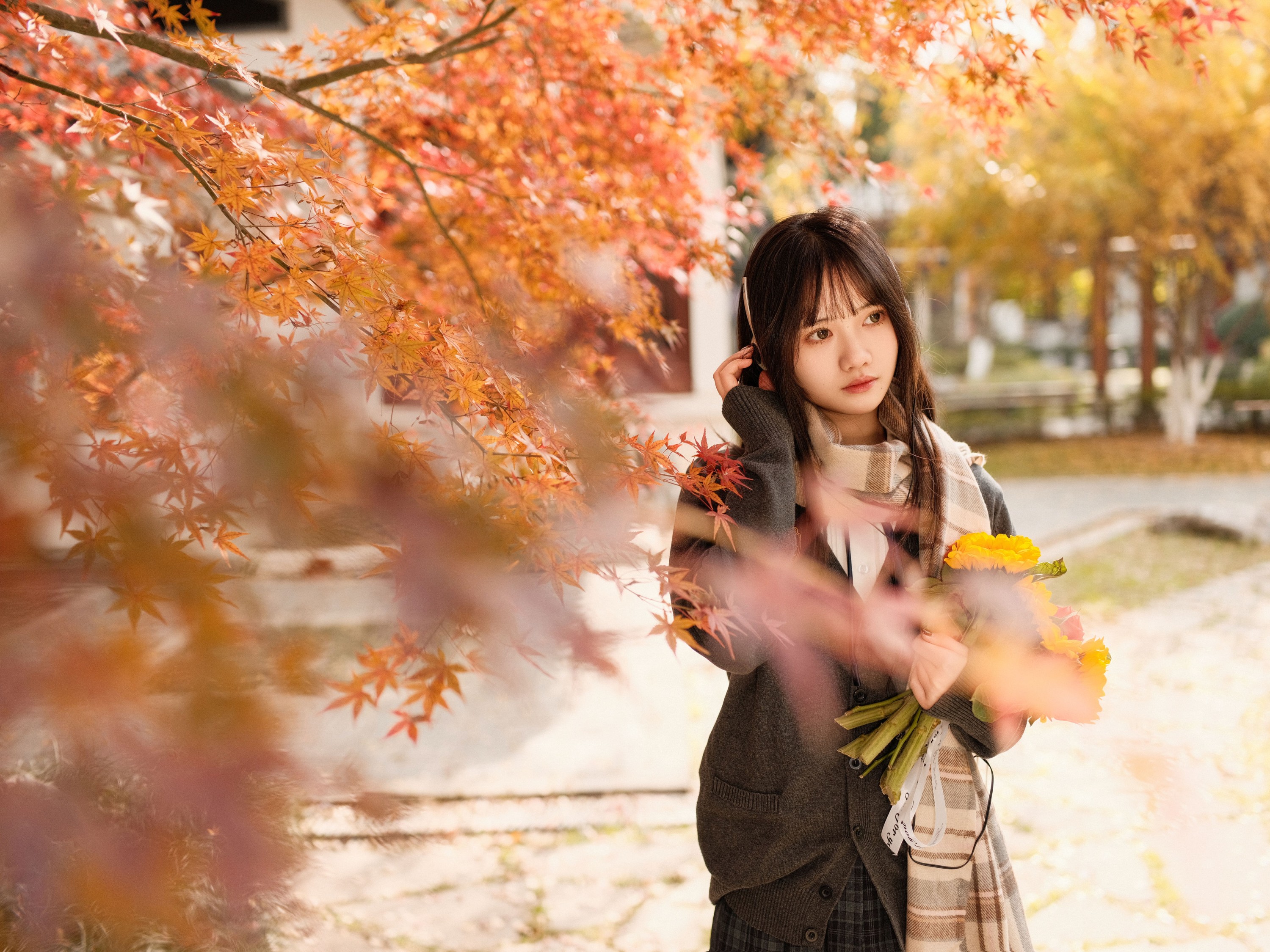 图片[3] - 不许翘二郎腿 - 《枫叶醉人颜》[23P] - 机器猫次元 - 机器猫次元