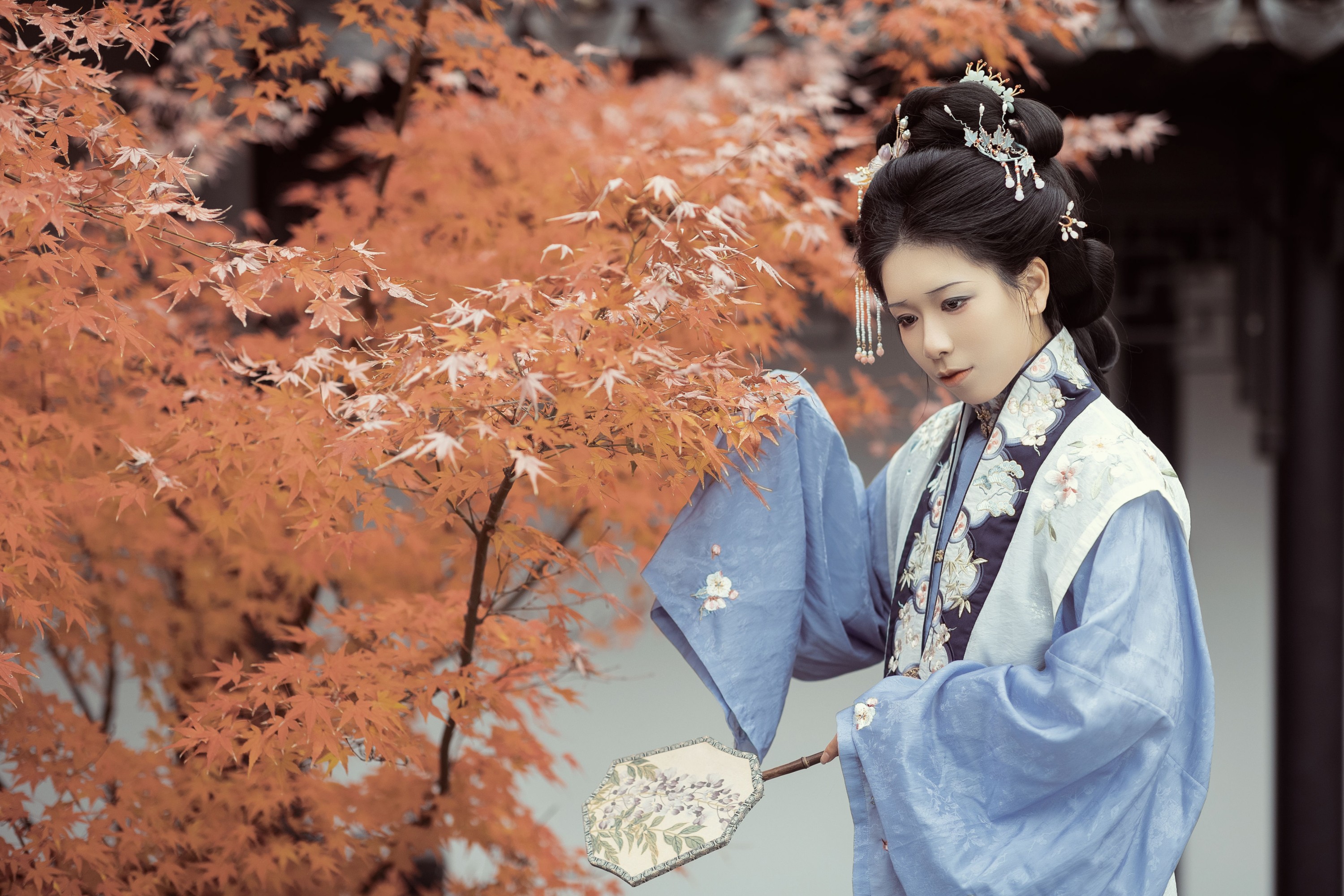 图片[6] - 争渡 - 《霜叶又红》[28P] - 机器猫次元 - 机器猫次元