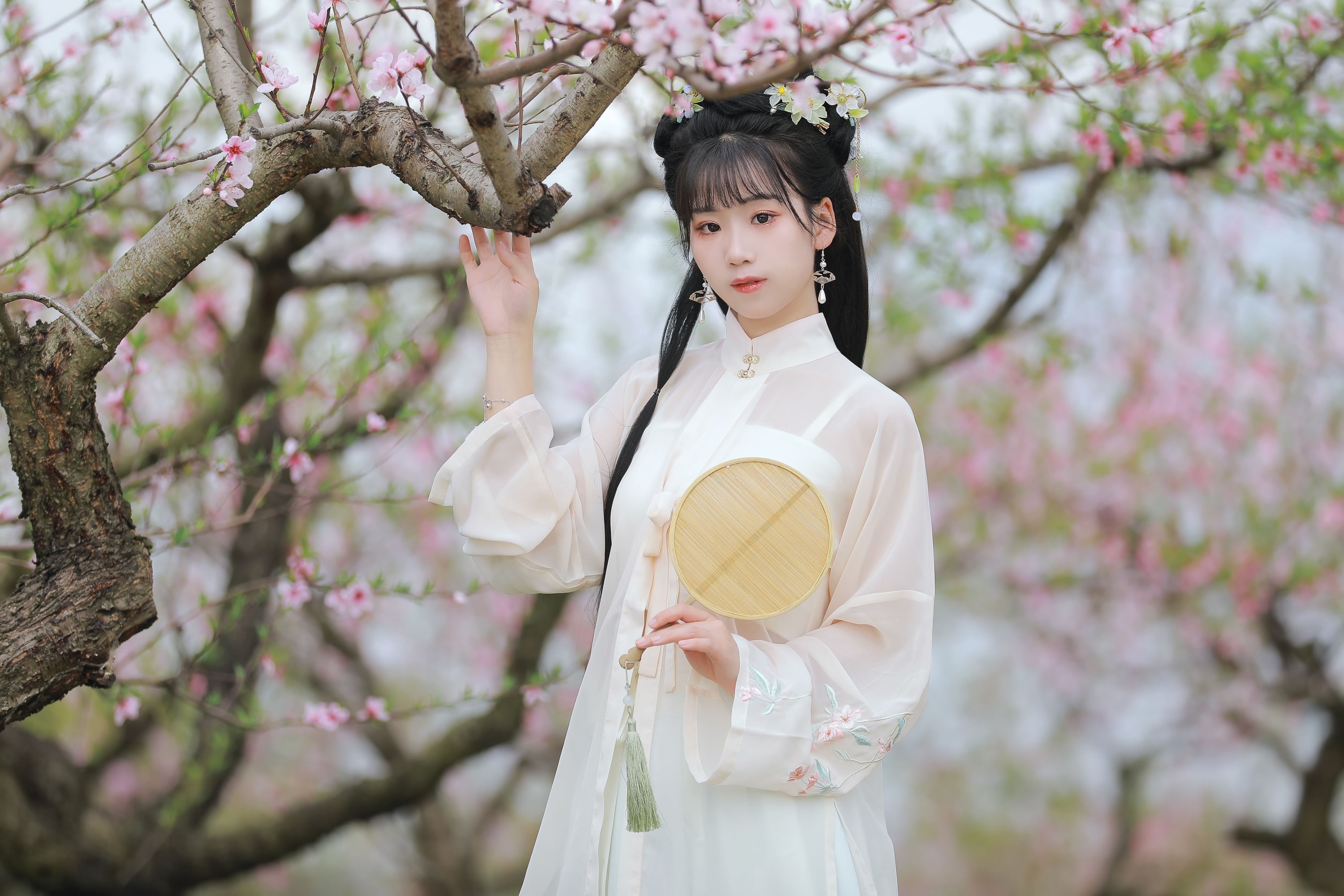 图片[3] - 周周Ay - 《桃花》[22P] - 机器猫次元 - 机器猫次元