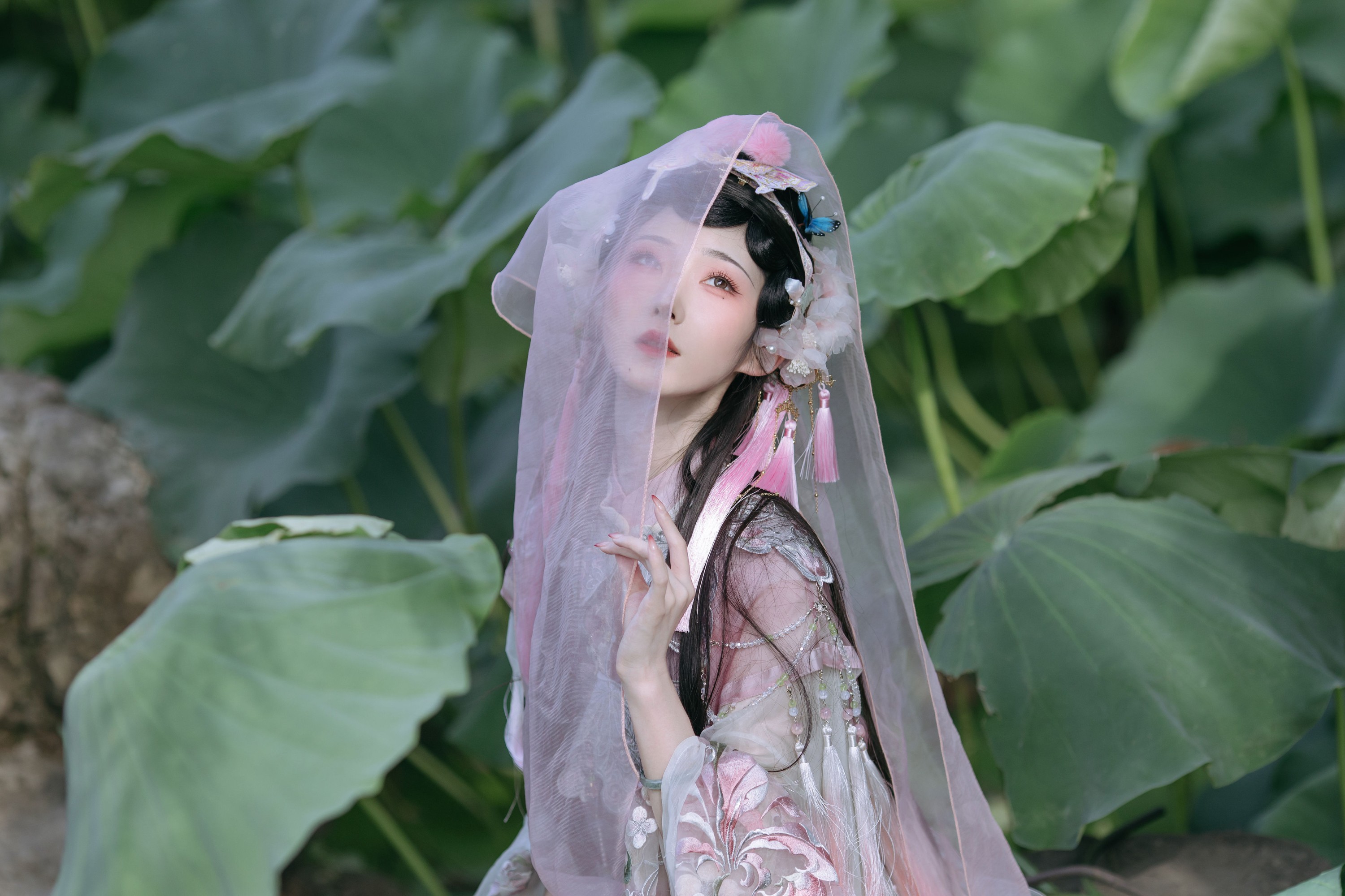 图片[7] - 就是景年 - 《荷花仙》[22P] - 机器猫次元 - 机器猫次元