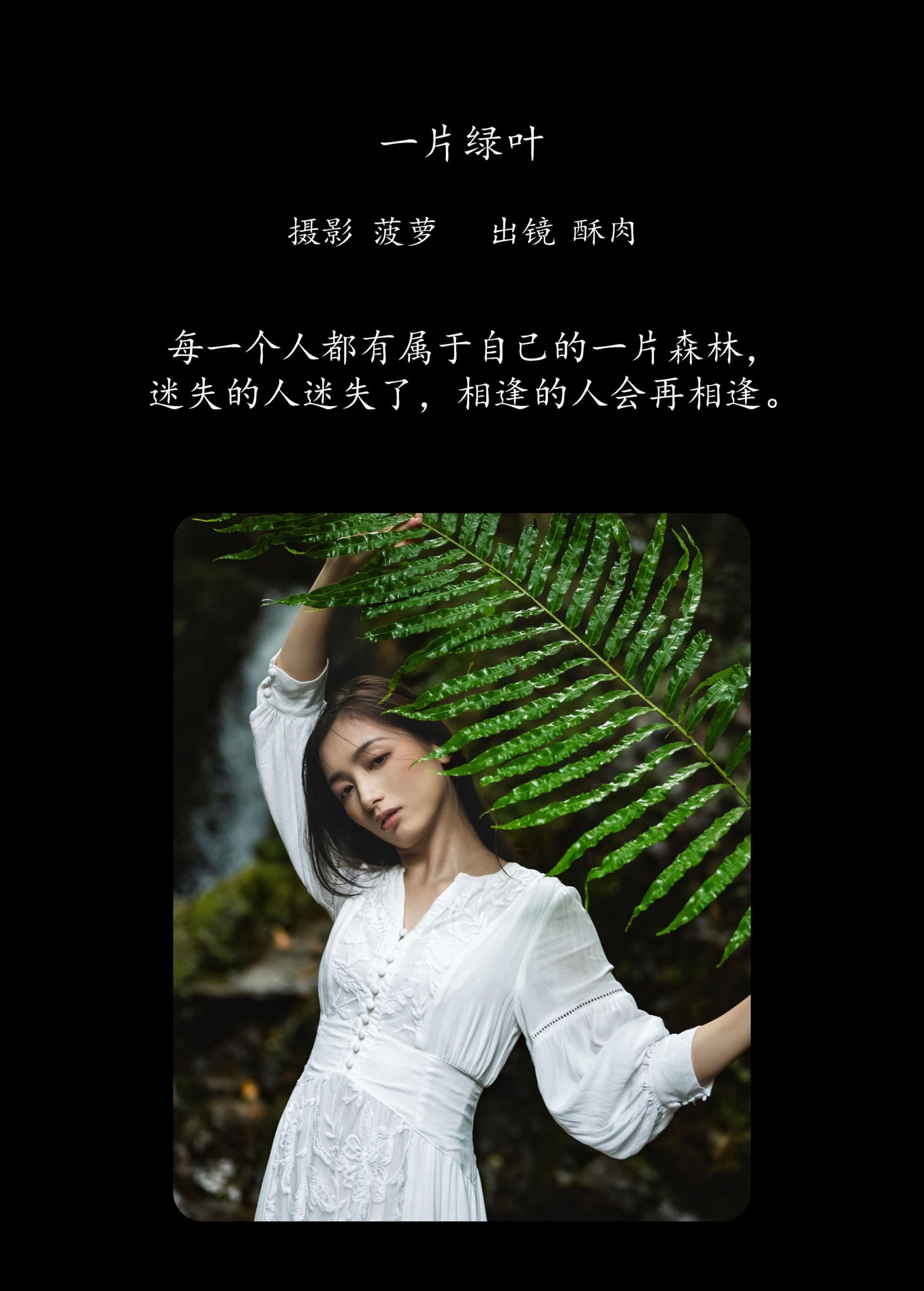 图片[2] - 再来碗酥肉 - 《一片绿叶》[20P] - 机器猫次元 - 机器猫次元