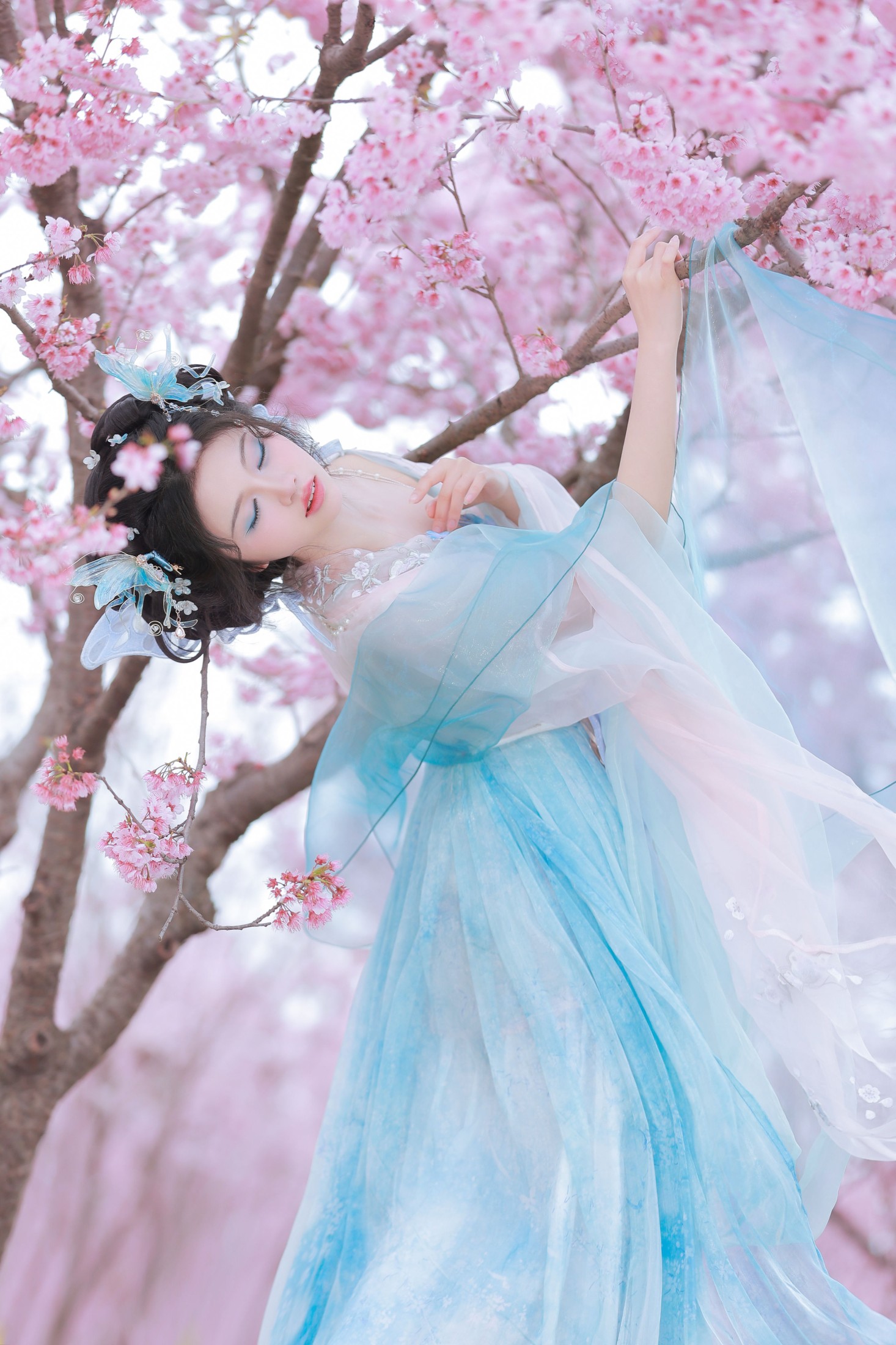 图片[6] - 十元zz - 《樱舞蝶衣》[24P] - 机器猫次元 - 机器猫次元