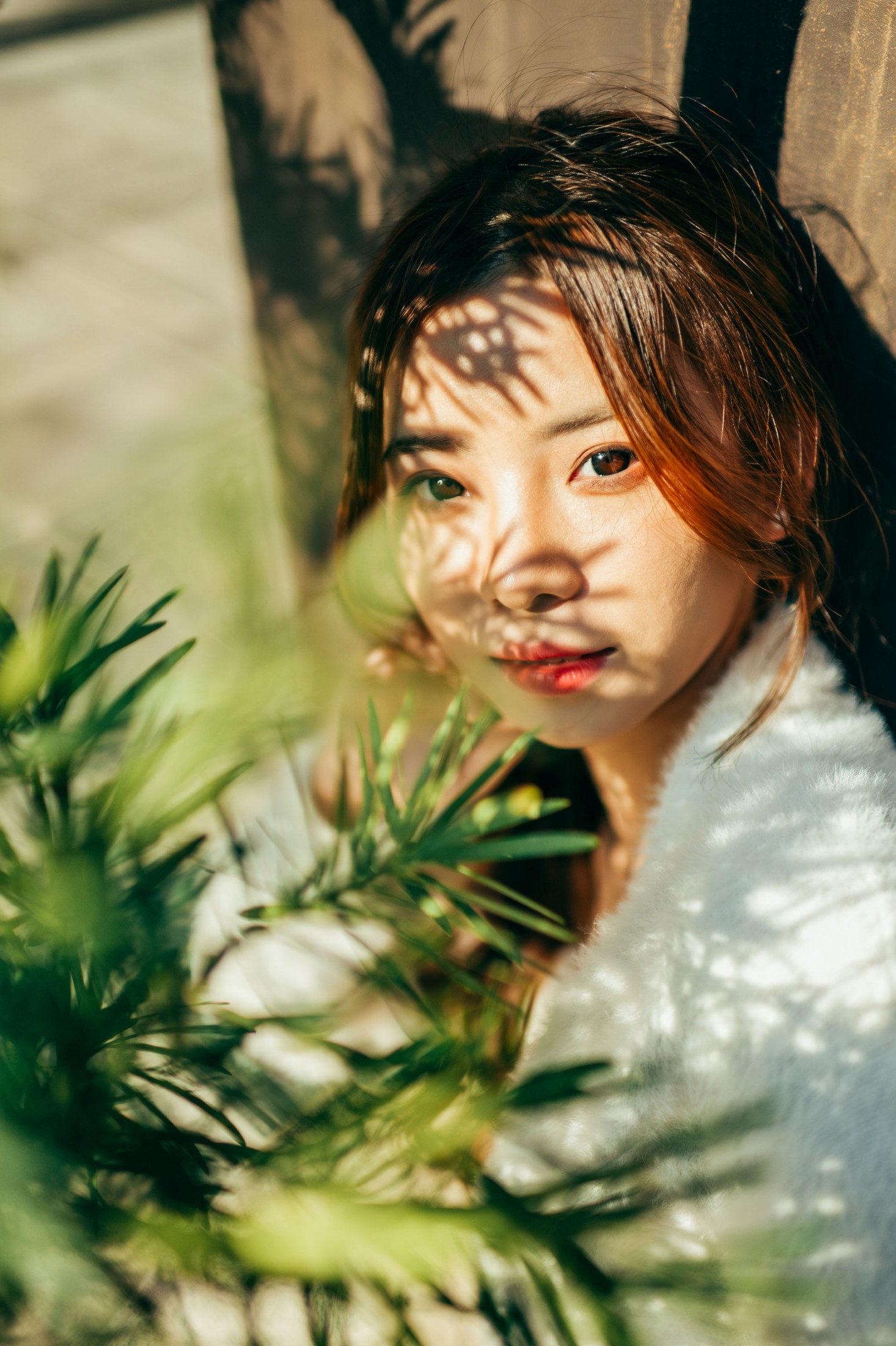 图片[4] - 章鱼 - 《赤松宫》[20P] - 机器猫次元 - 机器猫次元