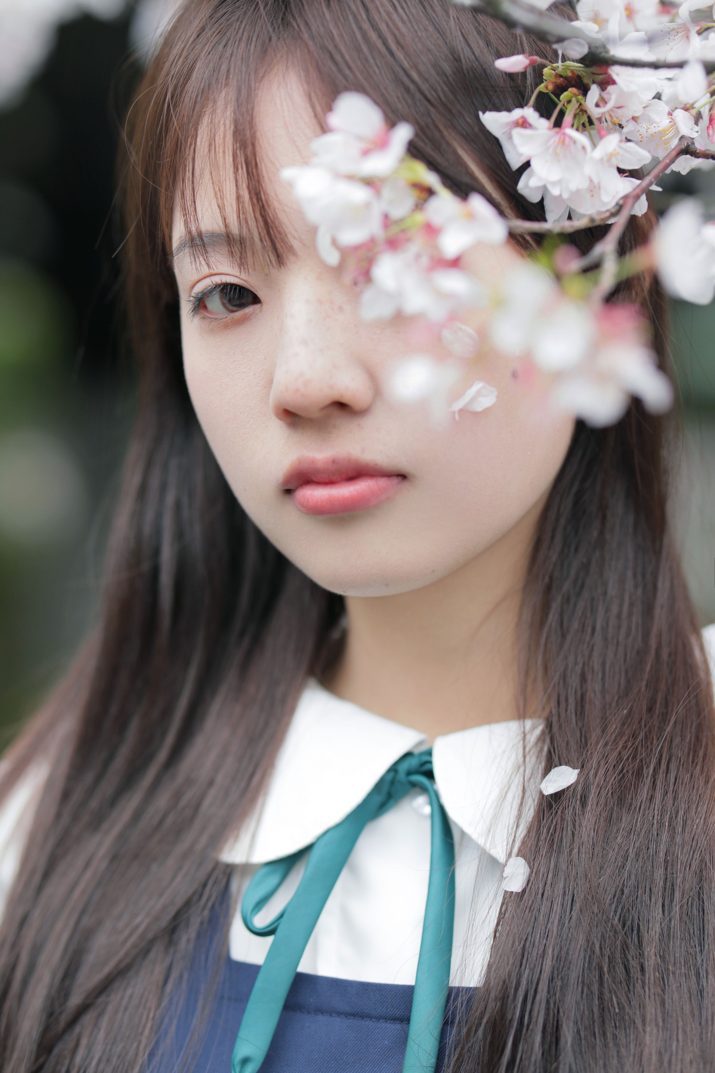 图片[5] - - 《春日礼赞》[35P] - 机器猫次元 - 机器猫次元
