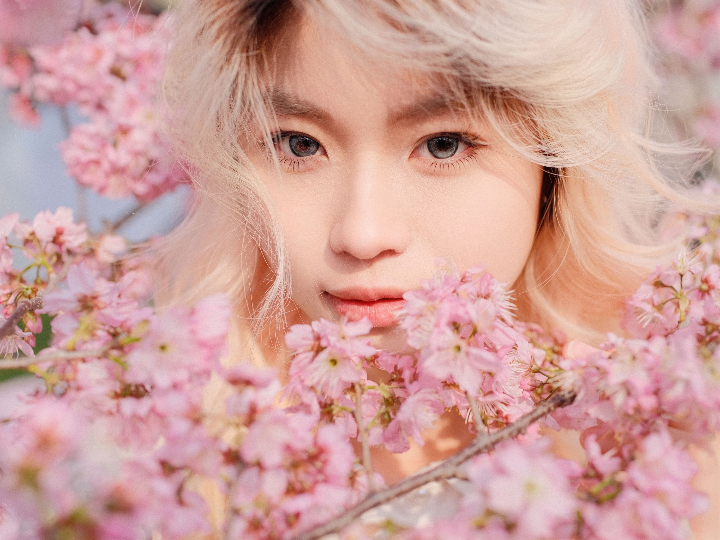 图片[3] - 点点 - 《樱花树下》[16P] - 机器猫次元 - 机器猫次元