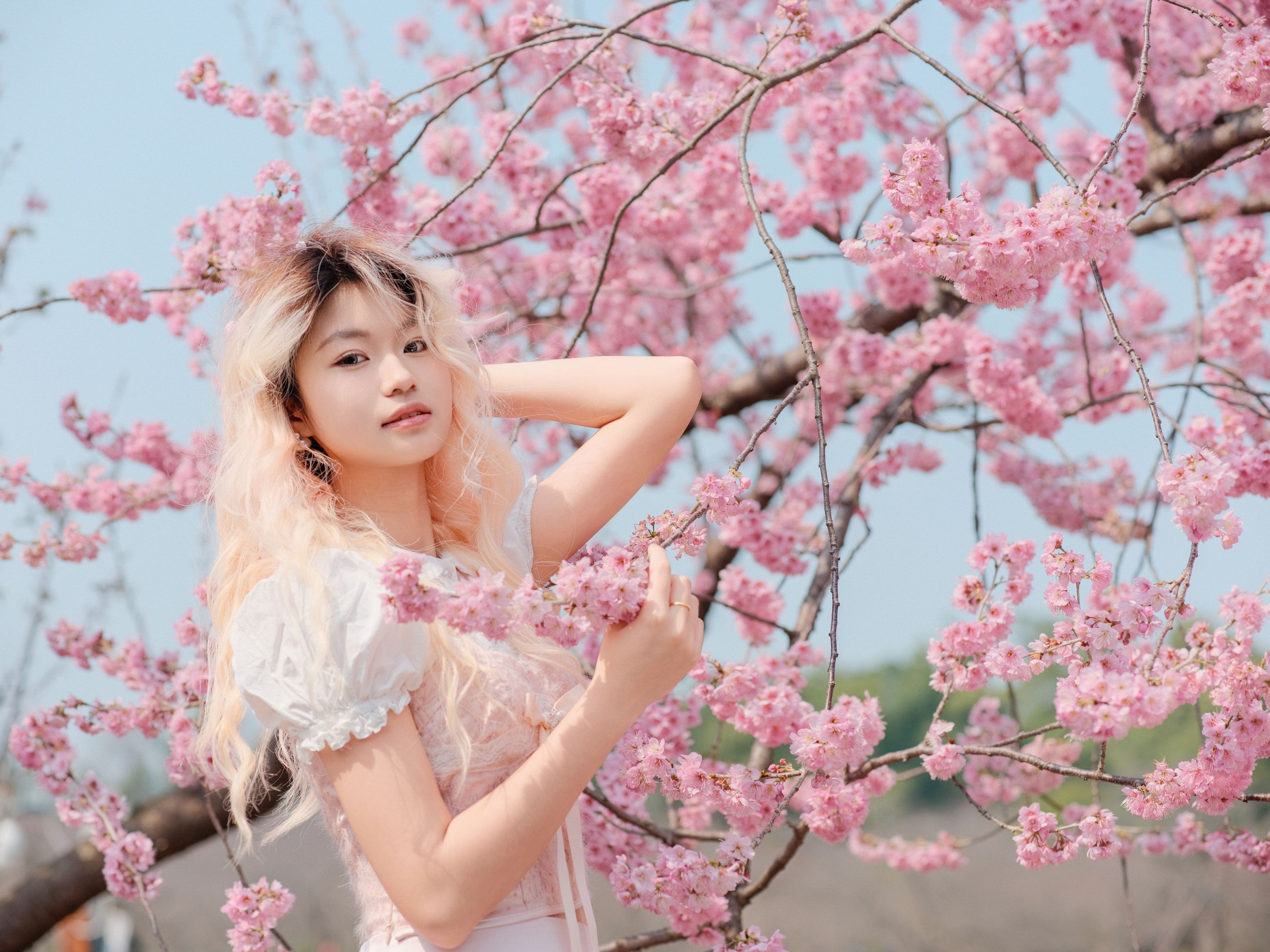 图片[5] - 点点 - 《樱花树下》[16P] - 机器猫次元 - 机器猫次元