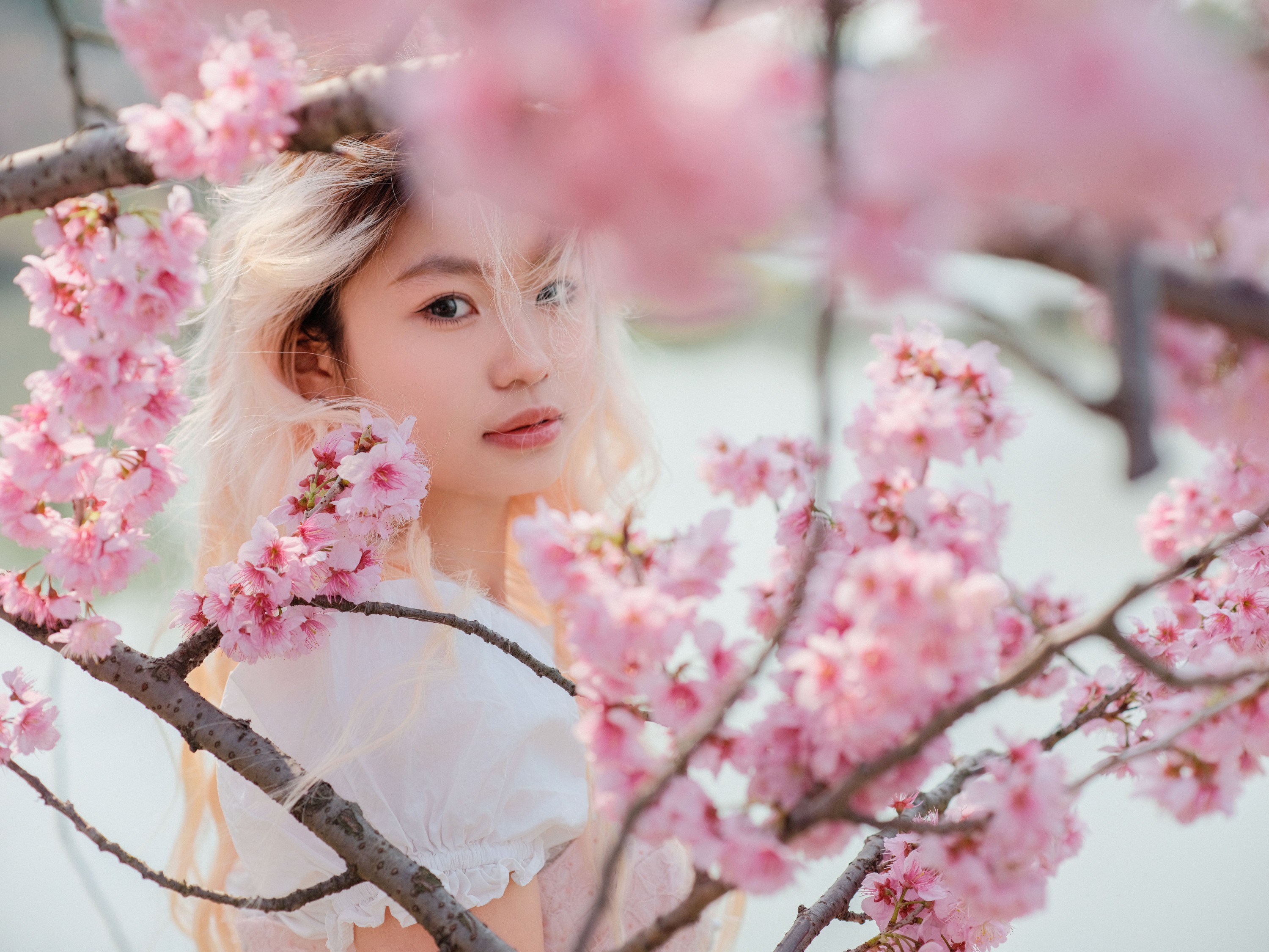 图片[1] - 点点 - 《樱花树下》[16P] - 机器猫次元 - 机器猫次元