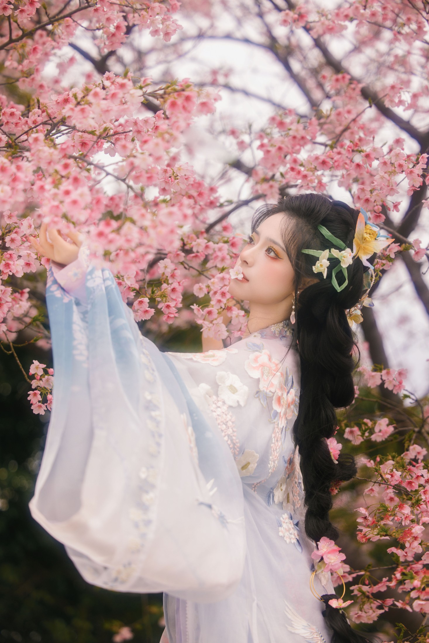 图片[5] - 衔鹿 - 《樱花雨》[18P] - 机器猫次元 - 机器猫次元