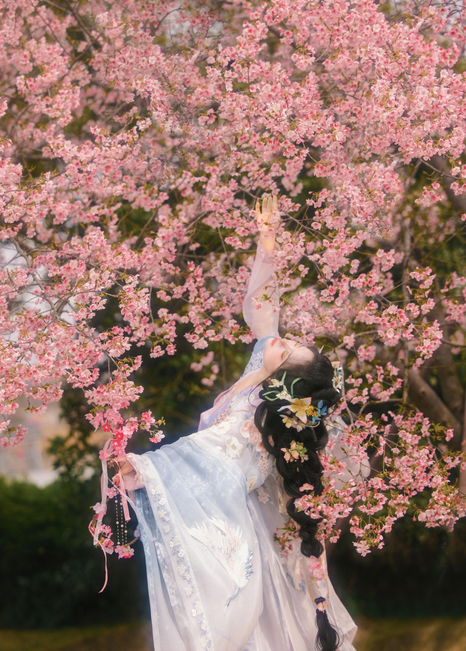 图片[2] - 衔鹿 - 《樱花雨》[18P] - 机器猫次元 - 机器猫次元