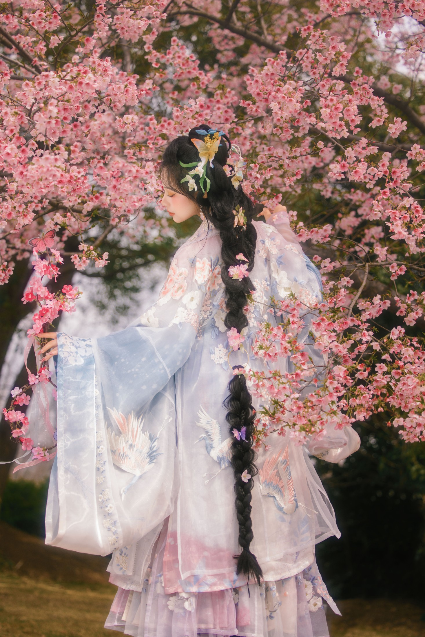 图片[1] - 衔鹿 - 《樱花雨》[18P] - 机器猫次元 - 机器猫次元