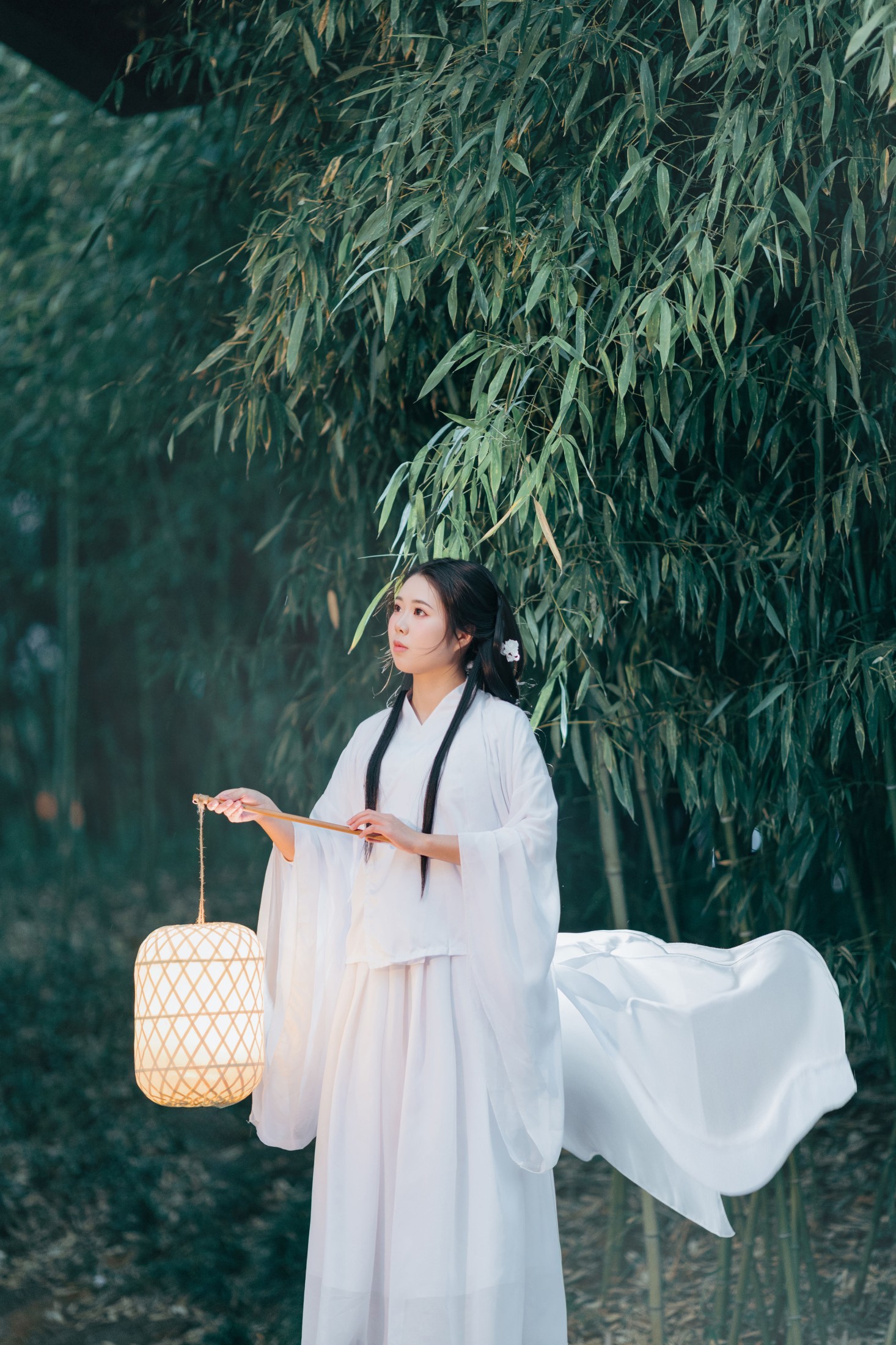 图片[3] - 苏苏 - 《竹林夜影清冷风》[22P] - 机器猫次元 - 机器猫次元