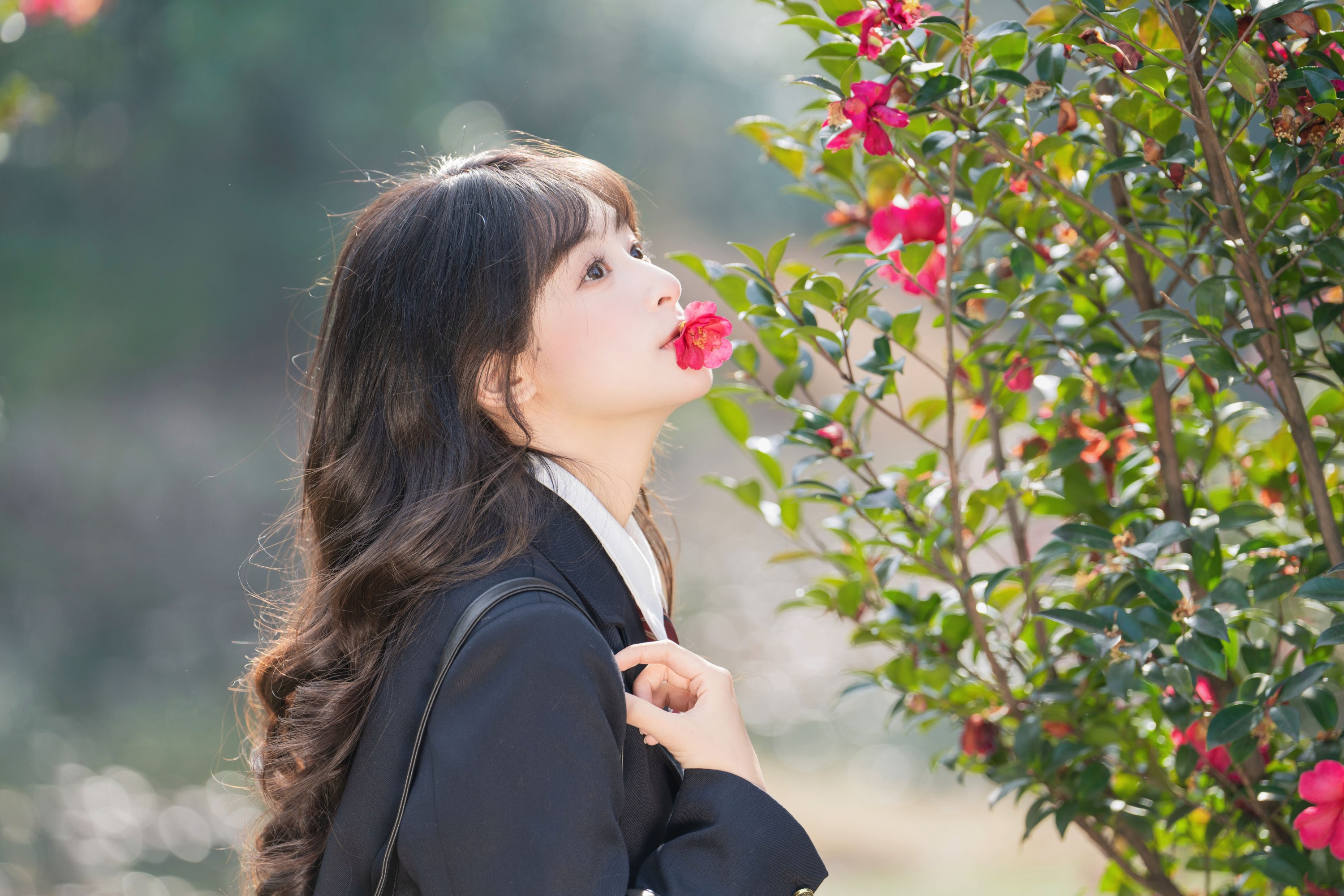 图片[6] - 夏芋小年 - 《山茶花的春天》[27P] - 机器猫次元 - 机器猫次元