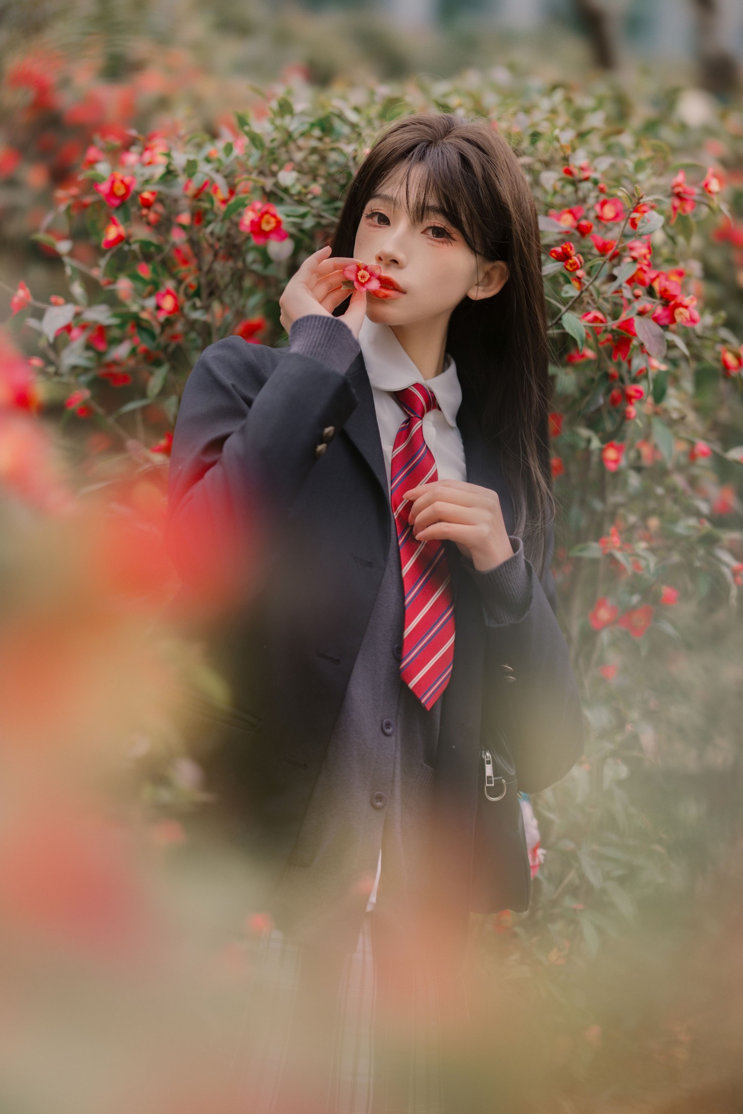 图片[1] - 仙女卷 - 《山茶花的秘密》[18P] - 机器猫次元 - 机器猫次元