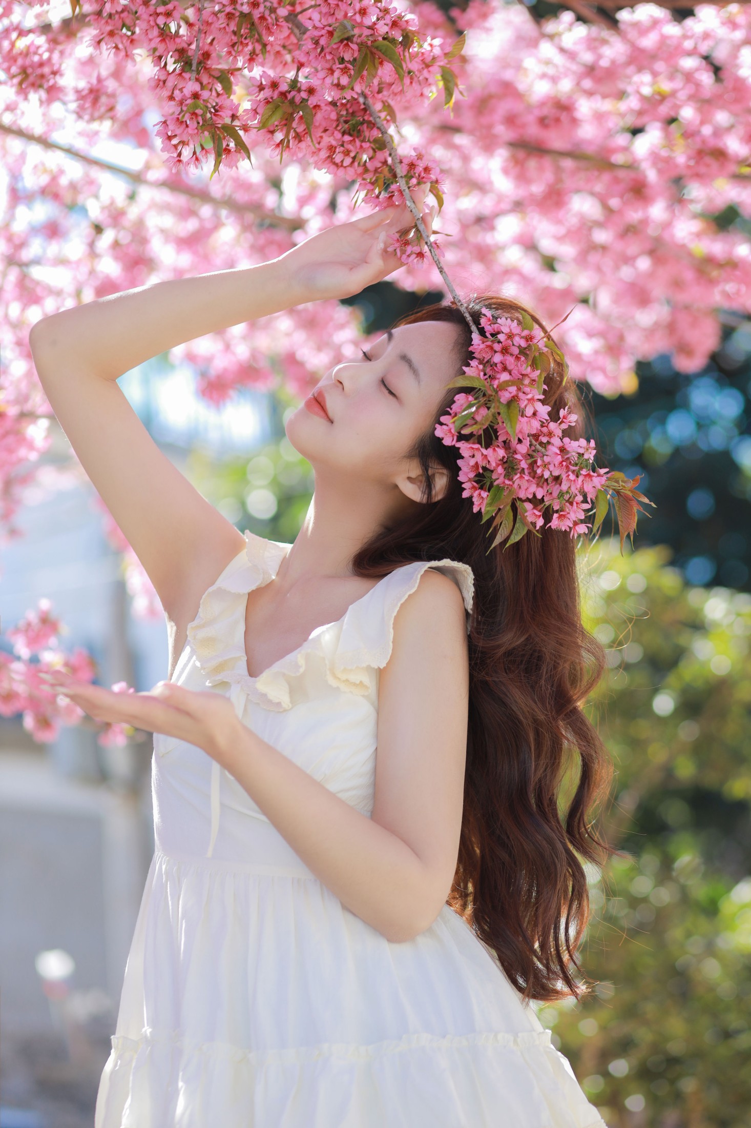 图片[8] - chickkii_ - 《樱花树下的少女》[22P] - 机器猫次元 - 机器猫次元