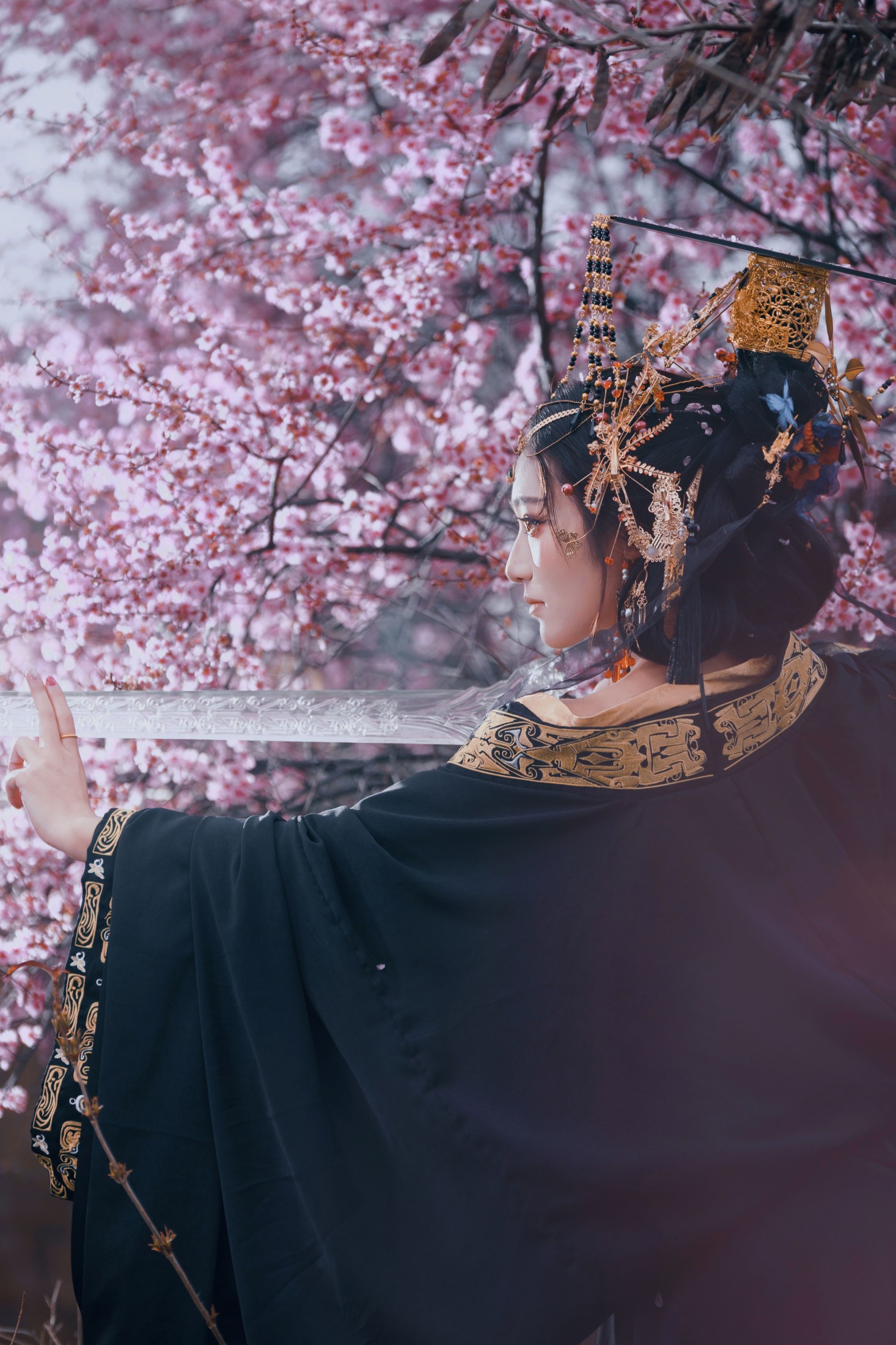 图片[6] - 小洪 - 《玄樱赋・暗黑女帝》[45P] - 机器猫次元 - 机器猫次元
