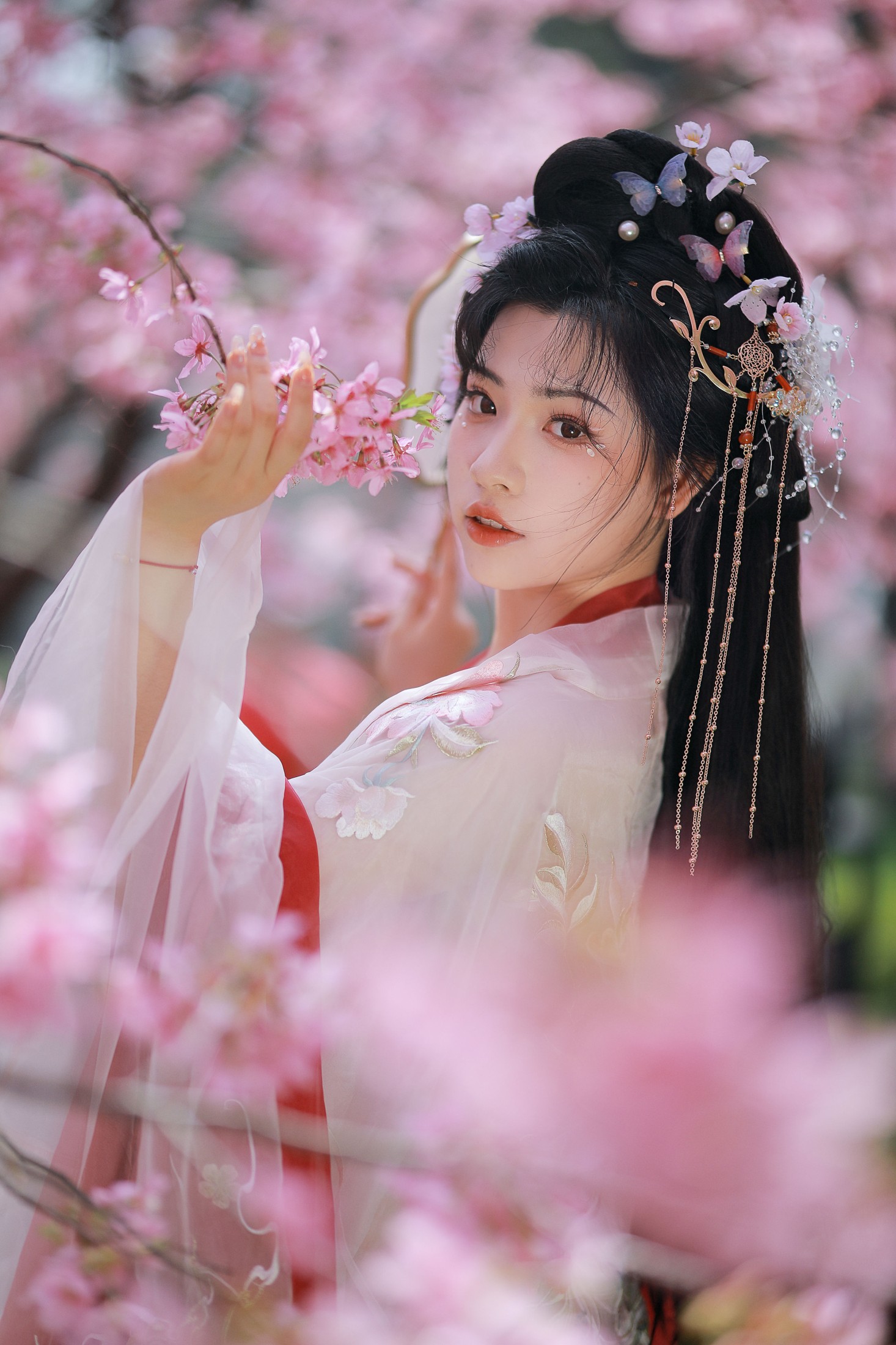 图片[1] - 阿冥 - 《樱花仙子》[15P] - 机器猫次元 - 机器猫次元