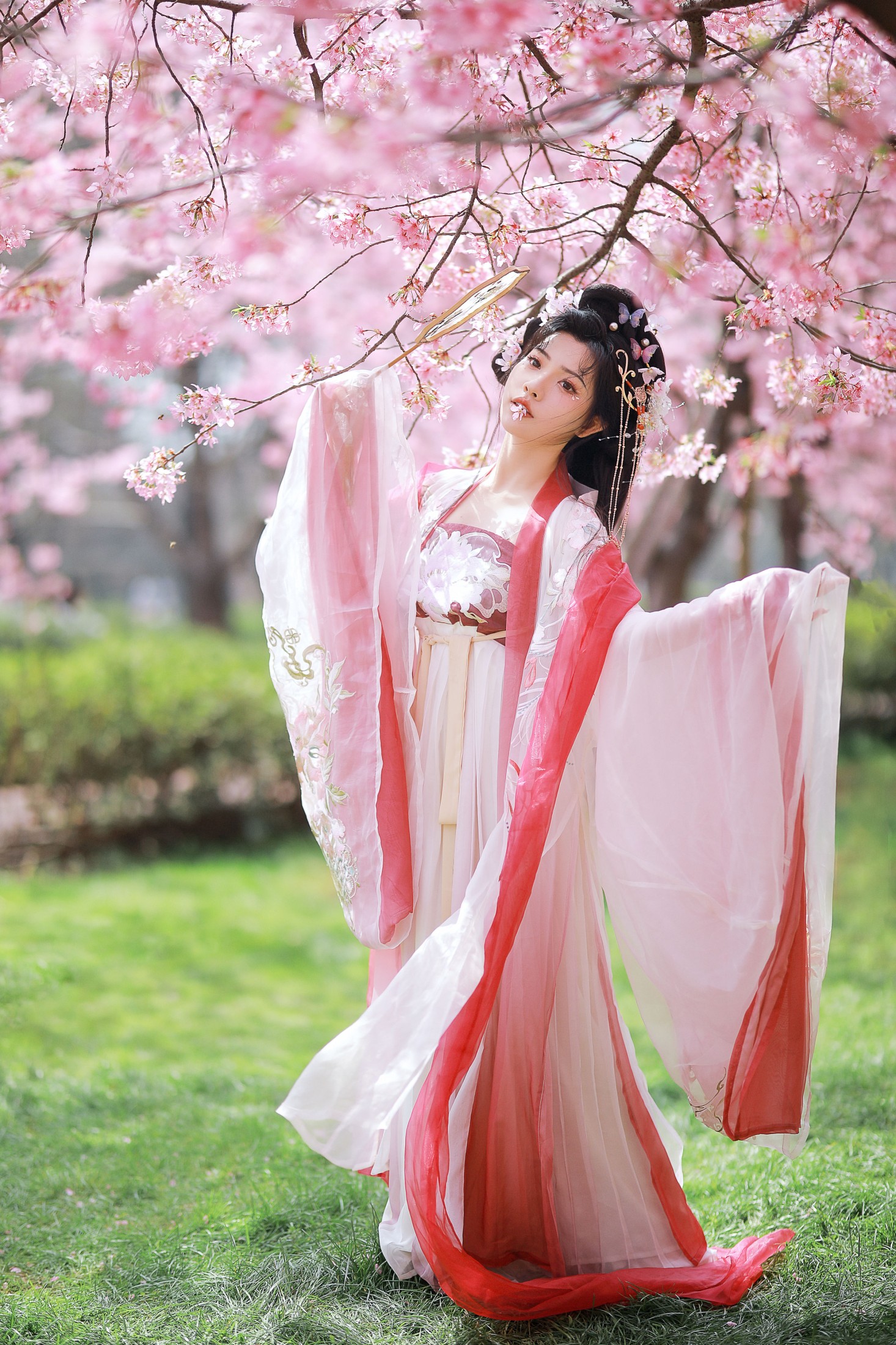 图片[7] - 阿冥 - 《樱花仙子》[15P] - 机器猫次元 - 机器猫次元