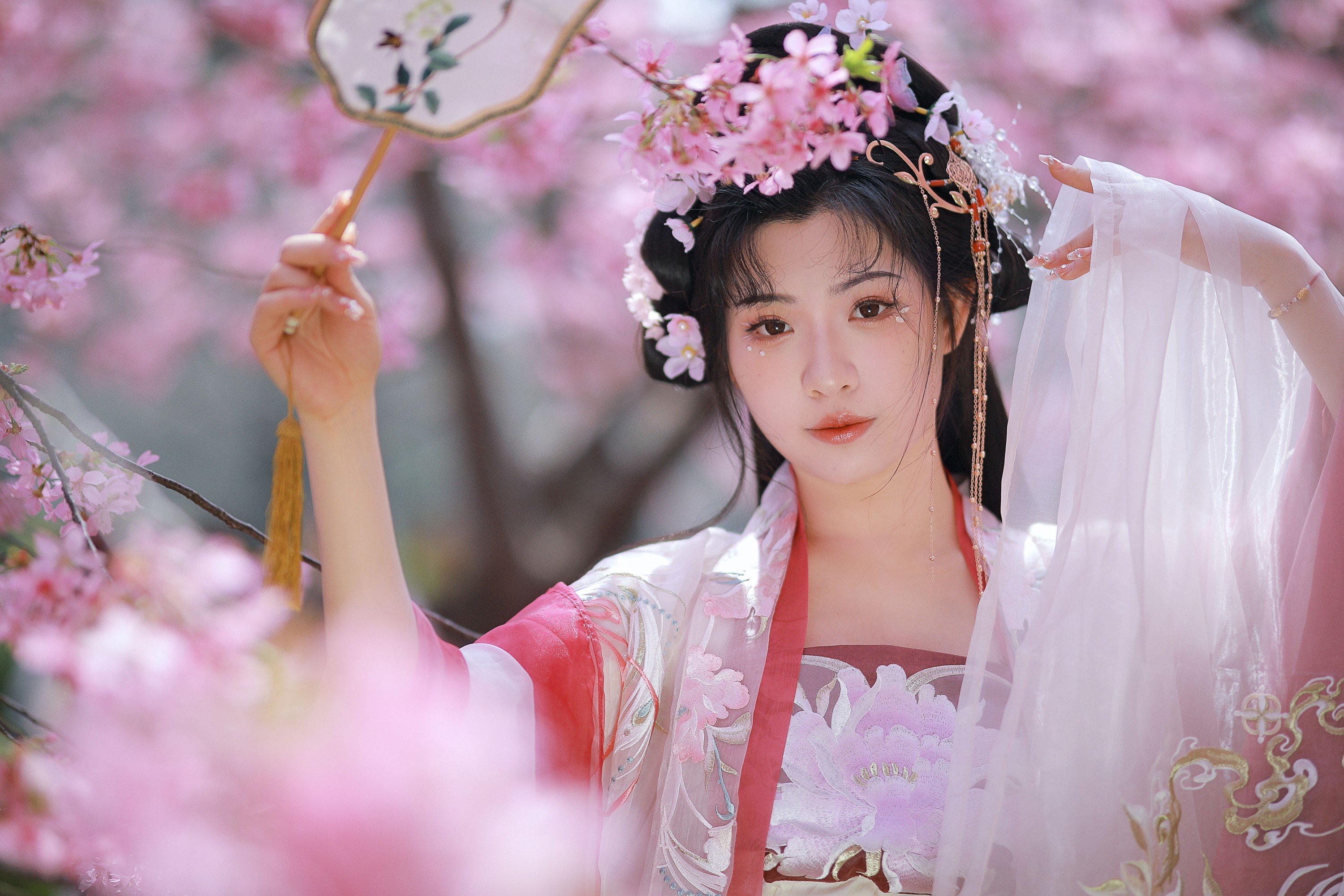图片[4] - 阿冥 - 《樱花仙子》[15P] - 机器猫次元 - 机器猫次元