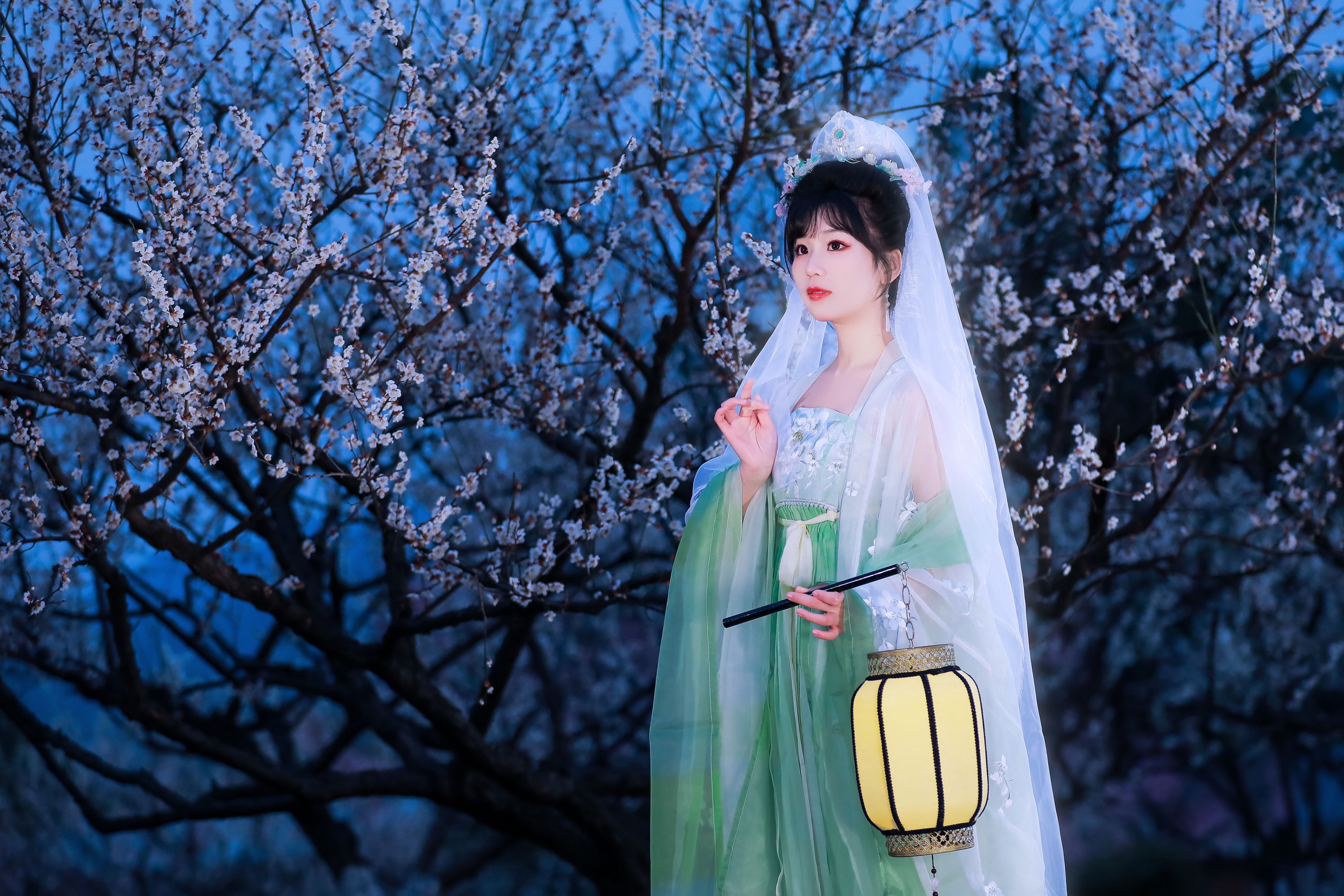图片[7] - 周周Ay - 《暗香》[22P] - 机器猫次元 - 机器猫次元