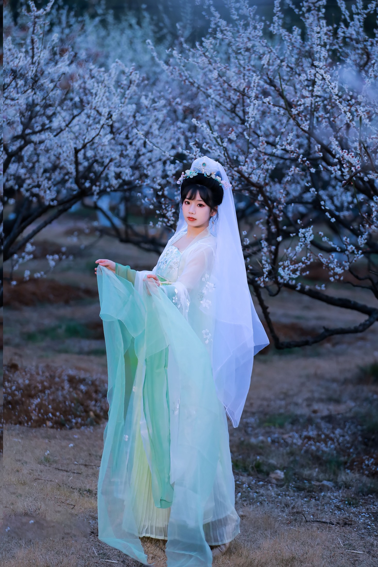 图片[1] - 周周Ay - 《暗香》[22P] - 机器猫次元 - 机器猫次元