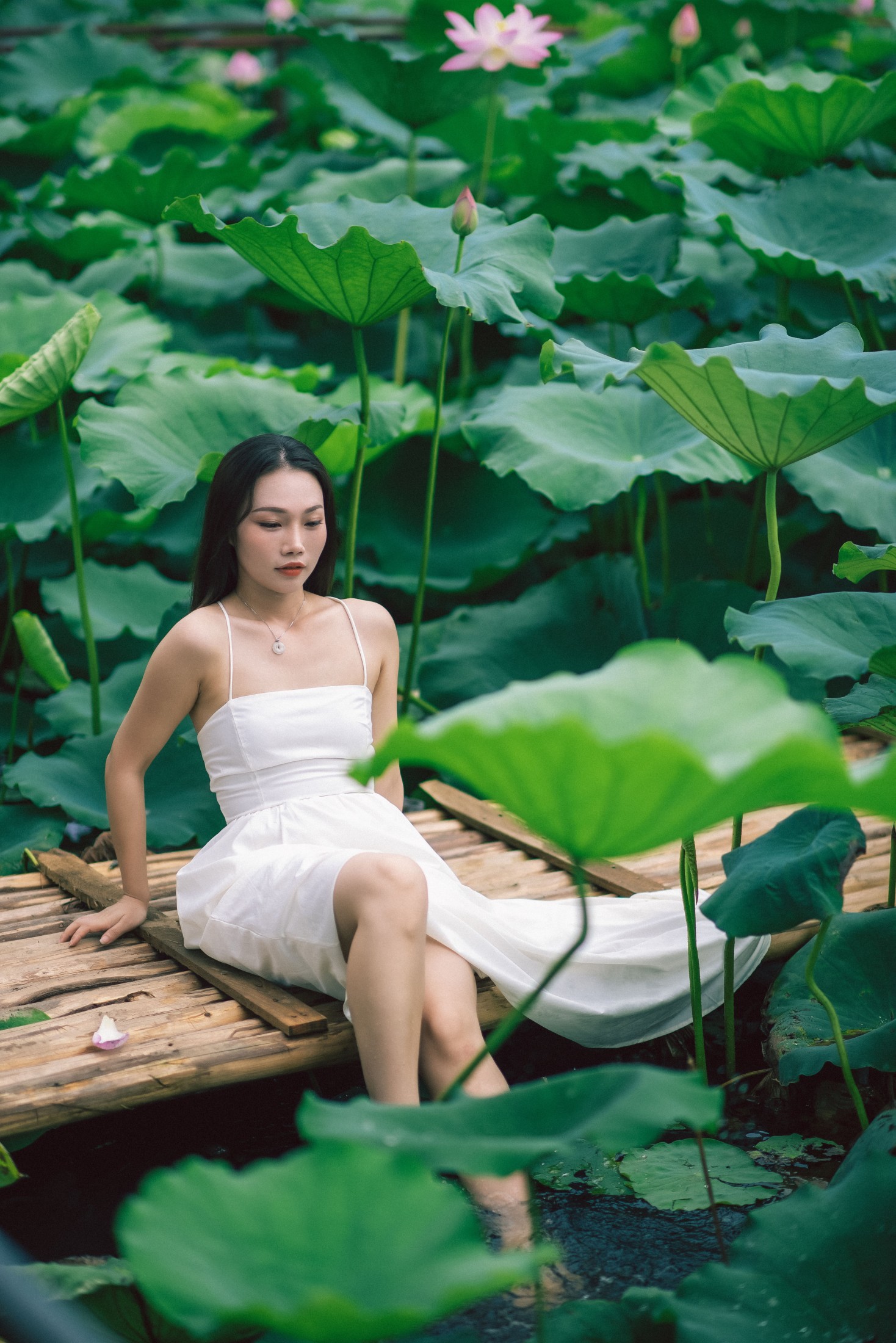 图片[4] - 橘子 - 《雨荷》[26P] - 机器猫次元 - 机器猫次元