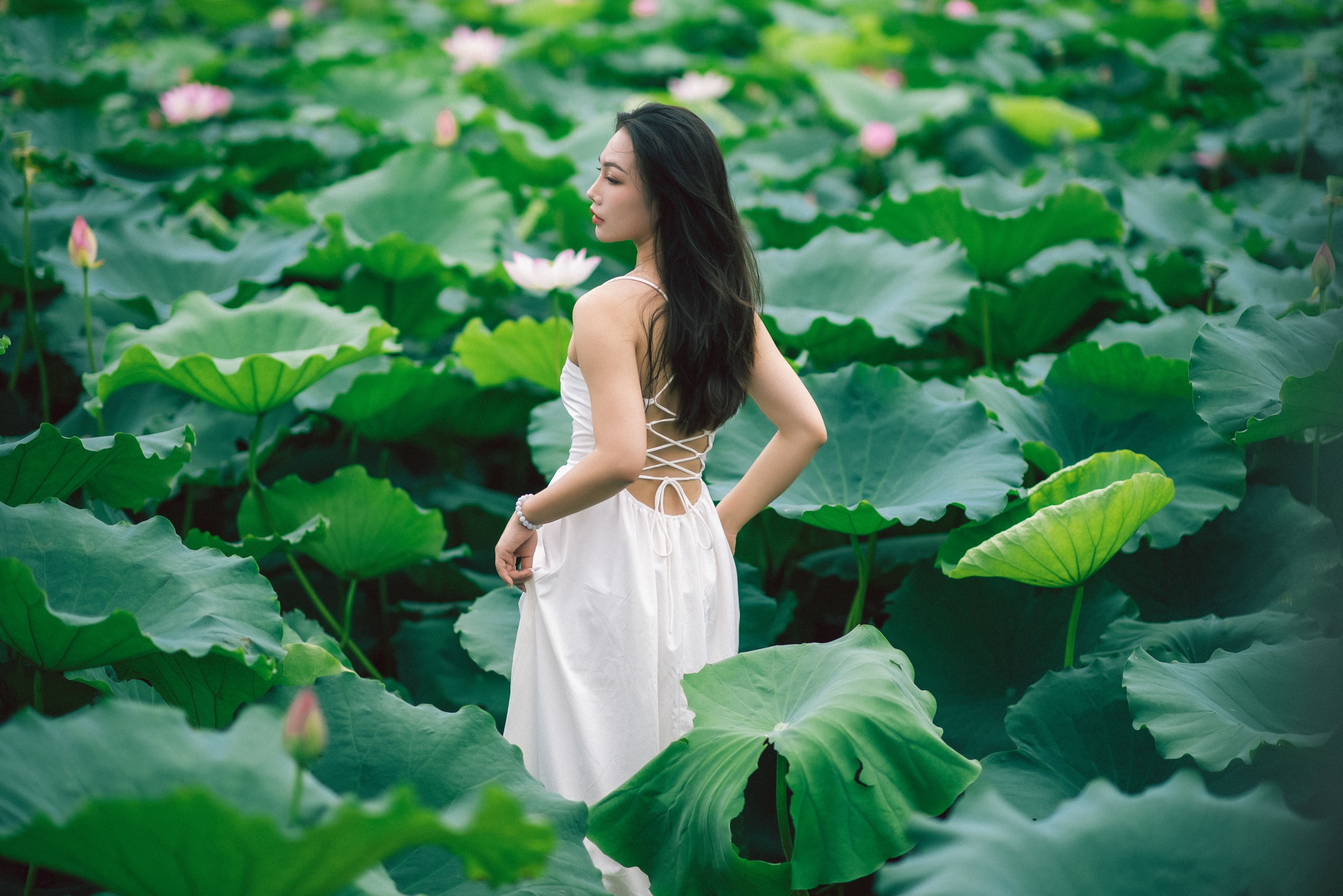 图片[1] - 橘子 - 《雨荷》[26P] - 机器猫次元 - 机器猫次元