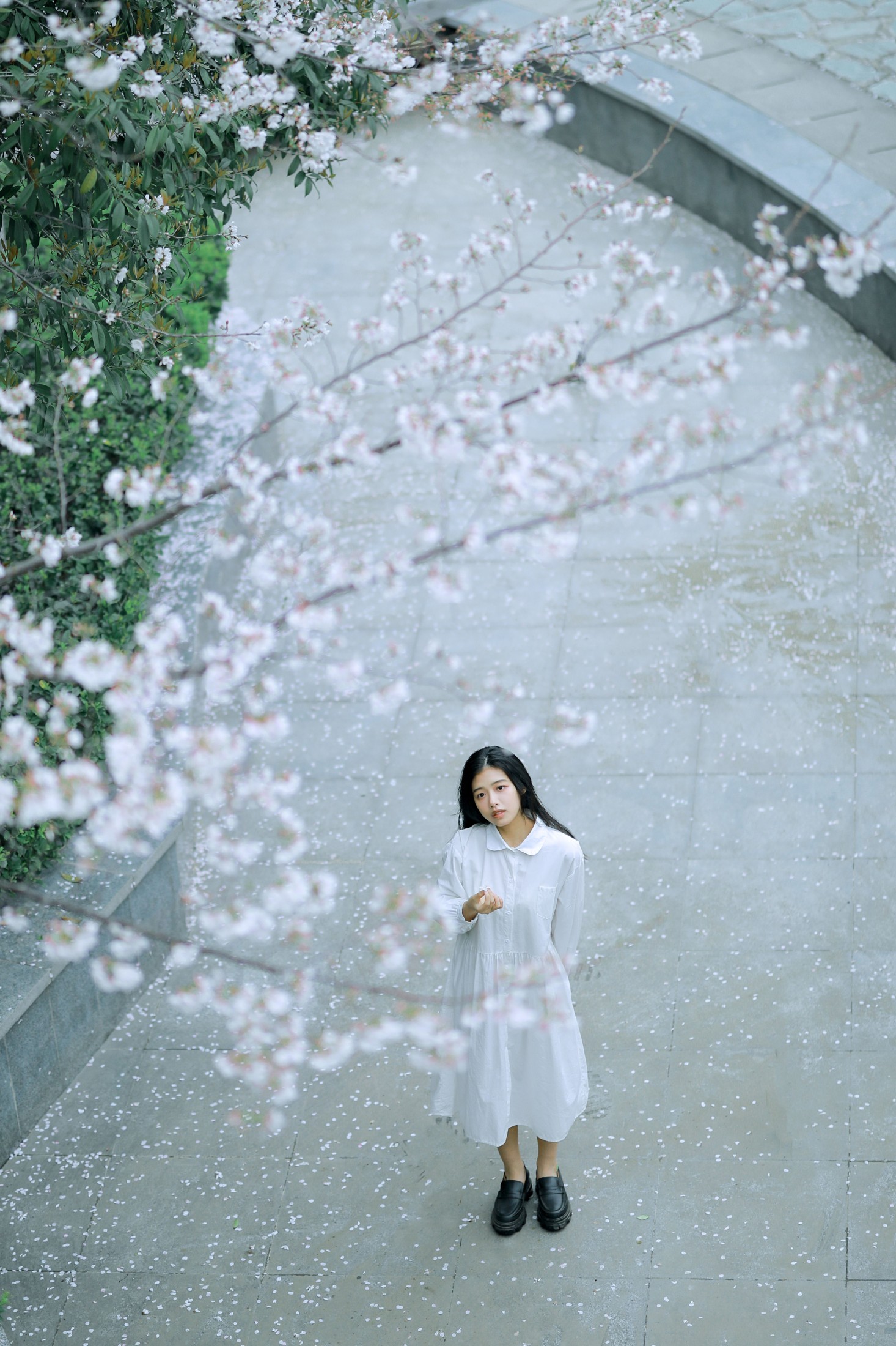 图片[1] - 龙星儿 - 《樱花少女》[30P] - 机器猫次元 - 机器猫次元