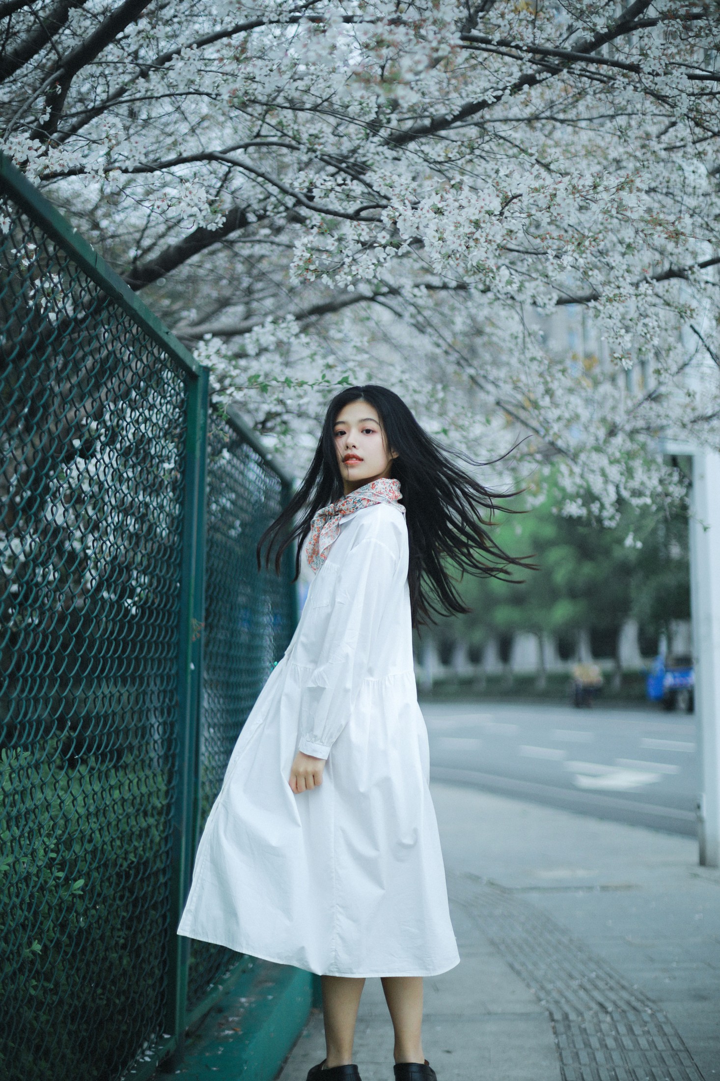 图片[3] - 龙星儿 - 《樱花少女》[30P] - 机器猫次元 - 机器猫次元