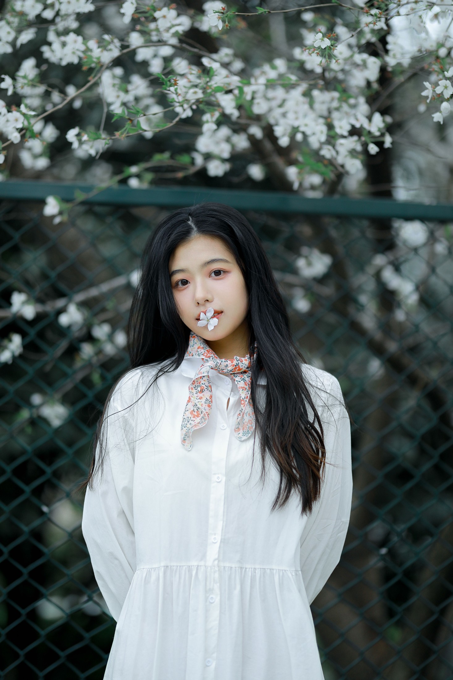 图片[4] - 龙星儿 - 《樱花少女》[30P] - 机器猫次元 - 机器猫次元