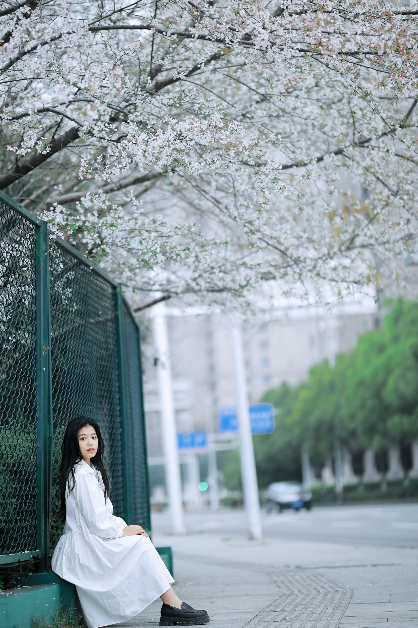 图片[5] - 龙星儿 - 《樱花少女》[30P] - 机器猫次元 - 机器猫次元