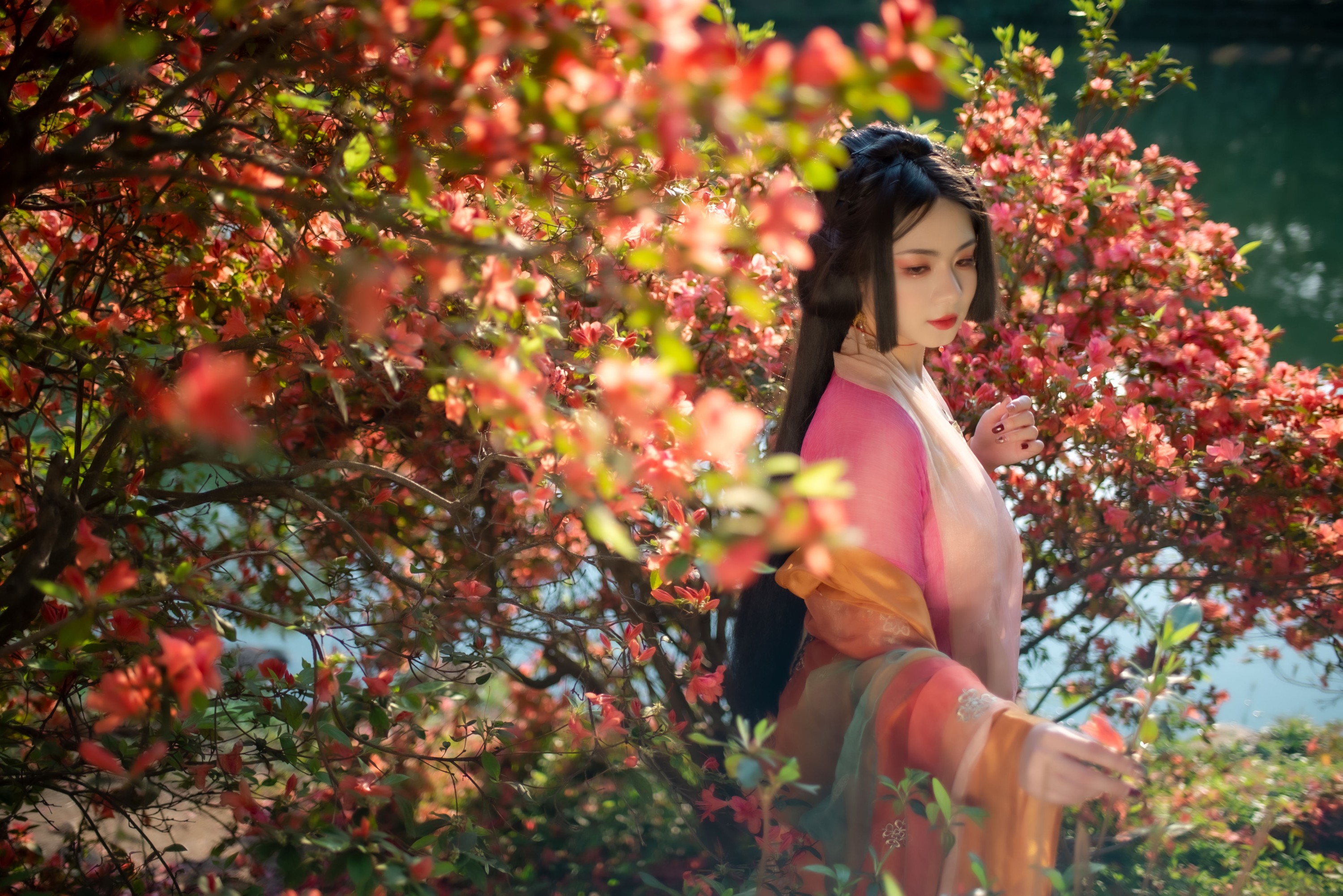 图片[1] - 零基础的米团 - 《锦瑟》[24P] - 机器猫次元 - 机器猫次元