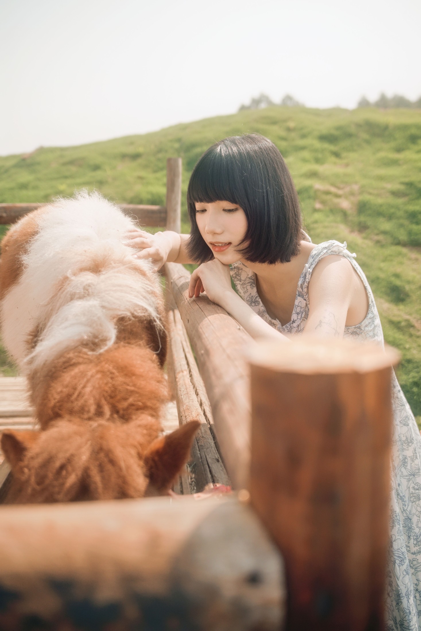 图片[5] - 特特 - 《马房童话》[50P] - 机器猫次元 - 机器猫次元