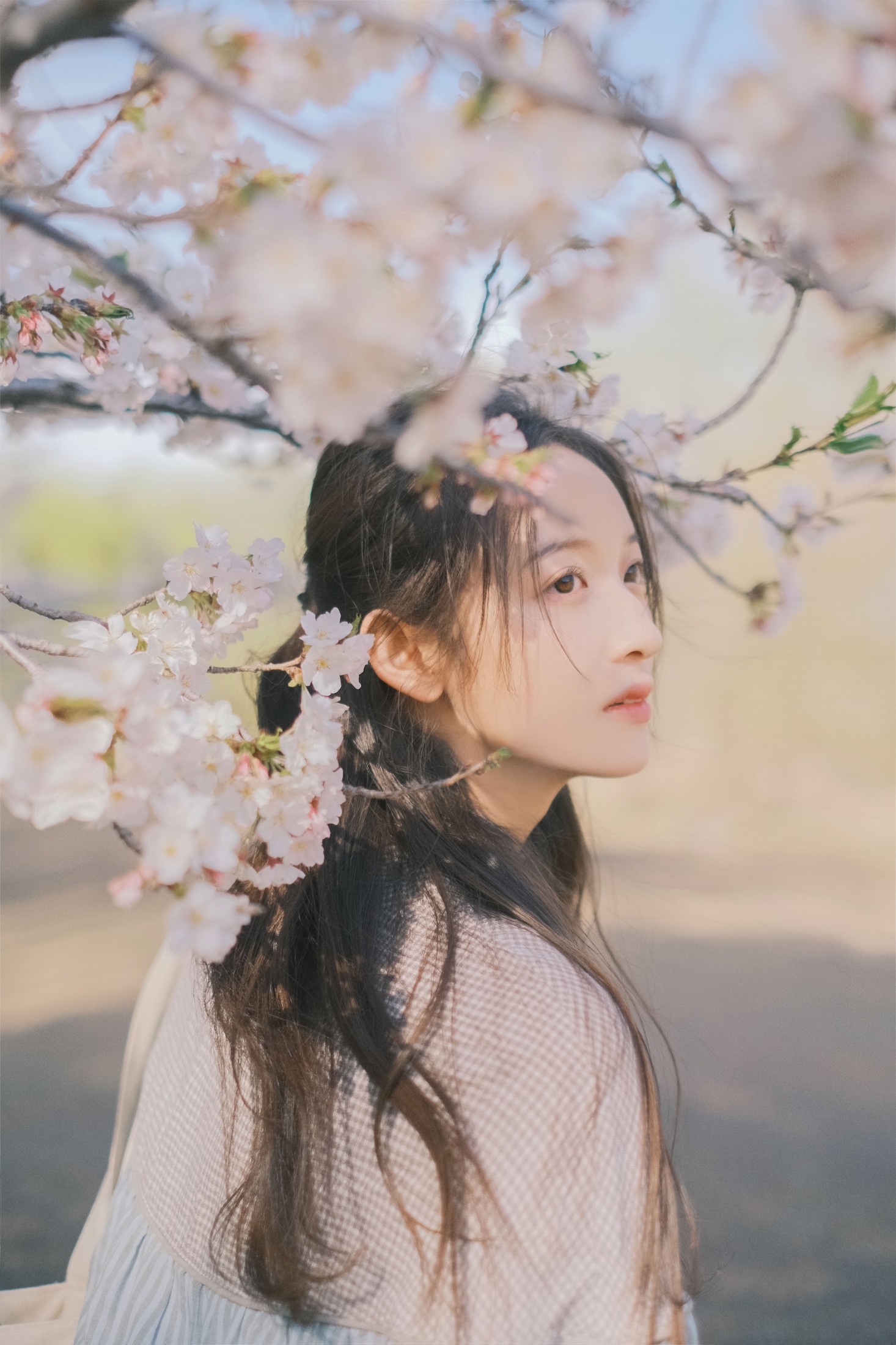 图片[4] - 彤 - 《春日信》[30P] - 机器猫次元 - 机器猫次元