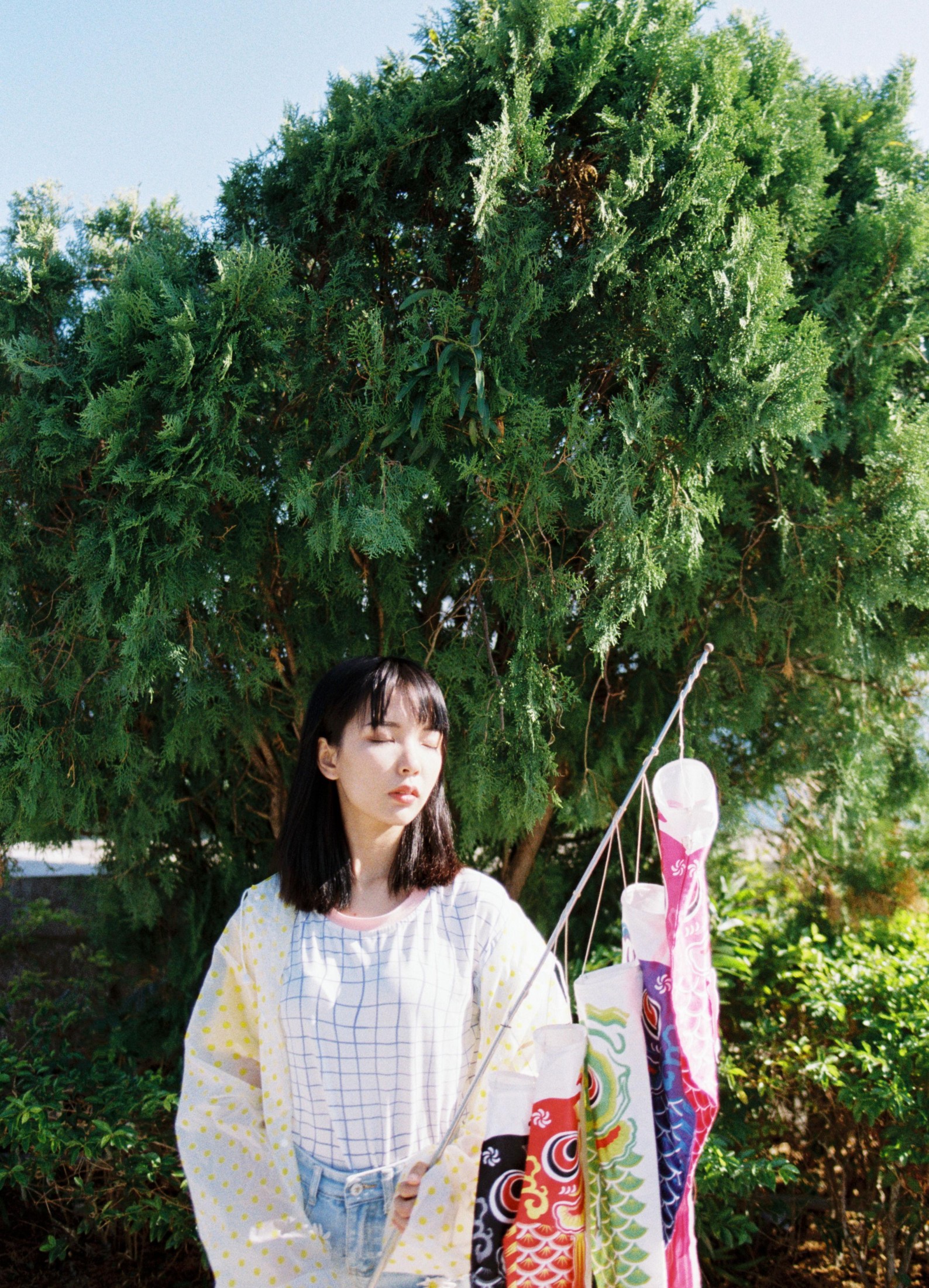 图片[2] - 妍子坚不可摧 - 《青空之鲤》[13P] - 机器猫次元 - 机器猫次元