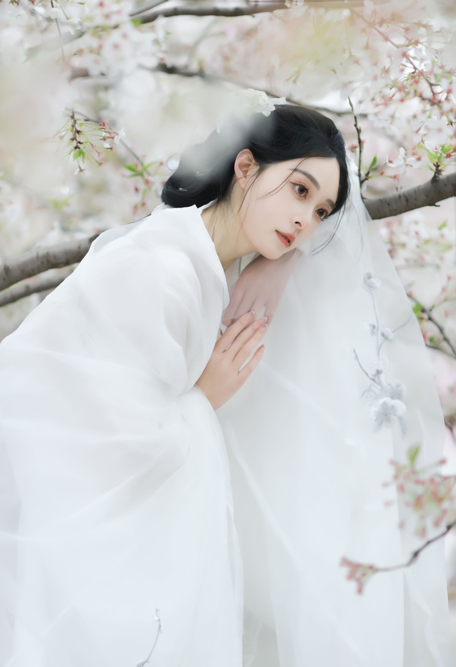 图片[7] - 岁岁如意 - 《万物清明》[14P] - 机器猫次元 - 机器猫次元