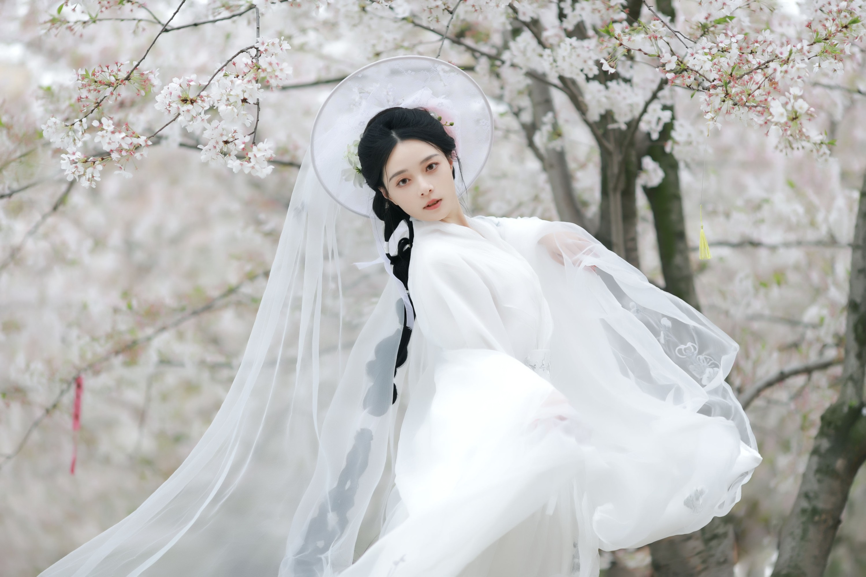 图片[5] - 岁岁如意 - 《万物清明》[14P] - 机器猫次元 - 机器猫次元