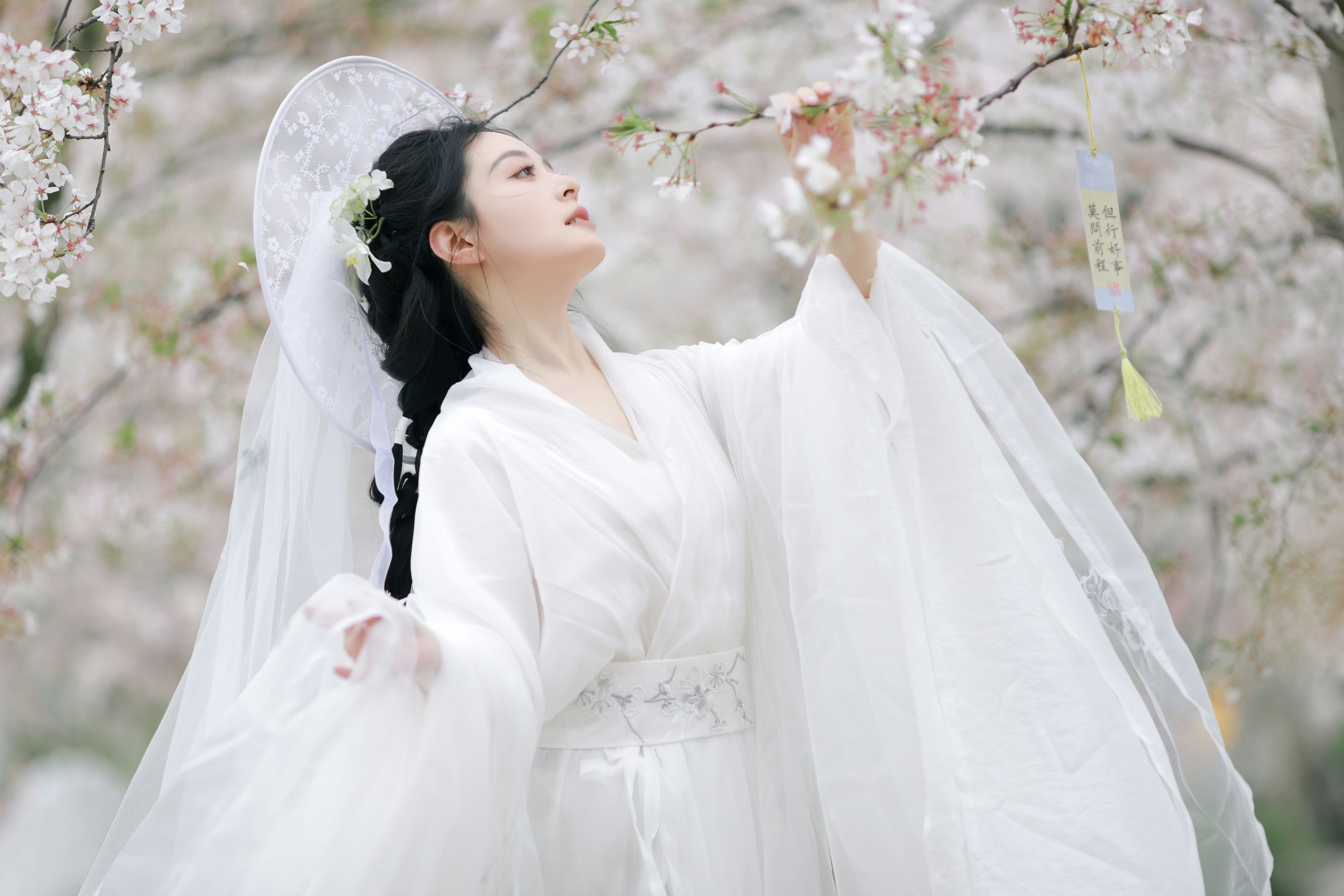 图片[3] - 岁岁如意 - 《万物清明》[14P] - 机器猫次元 - 机器猫次元
