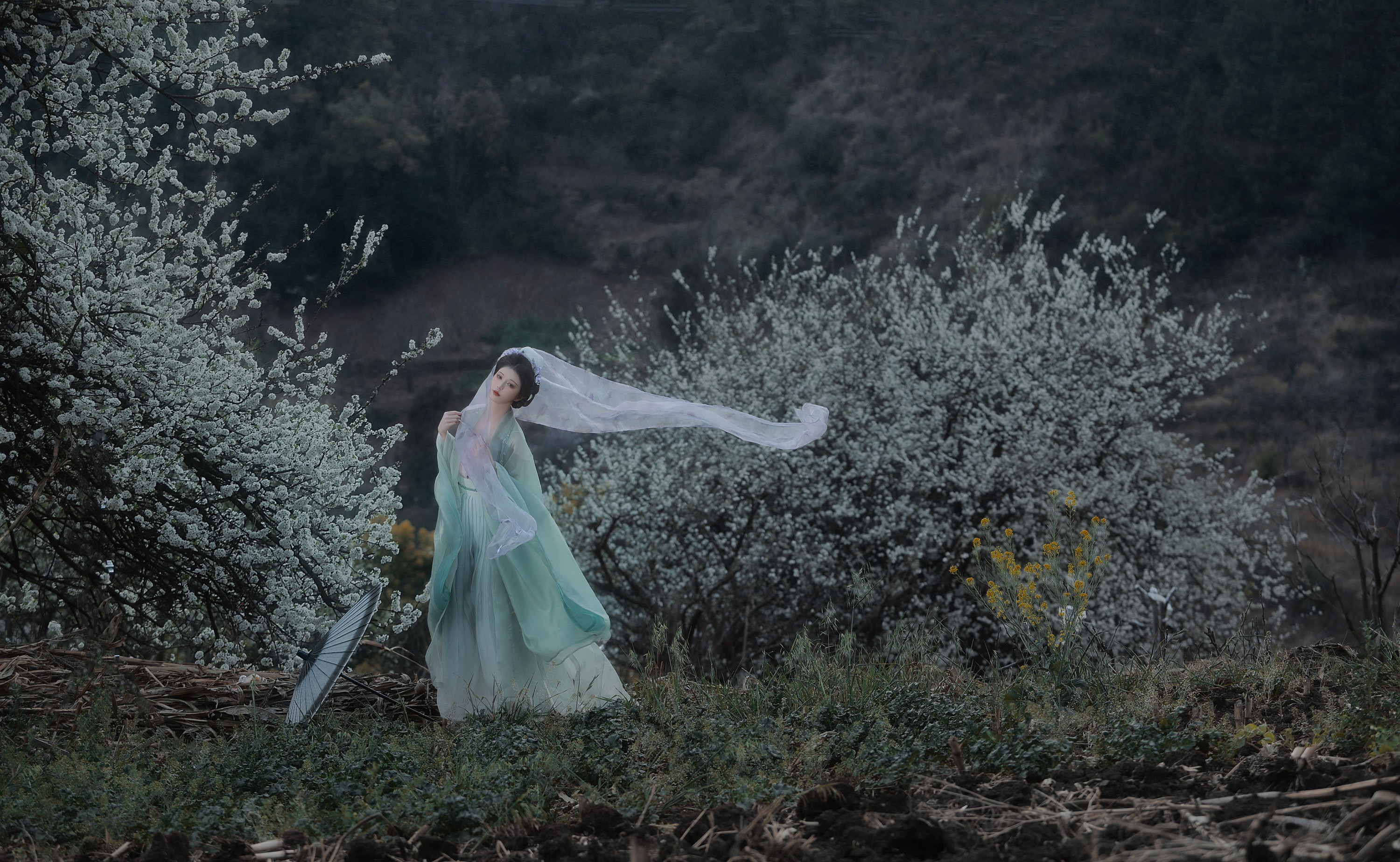 图片[6] - 吾岁岁 - 《春山如黛草如烟》[22P] - 机器猫次元 - 机器猫次元