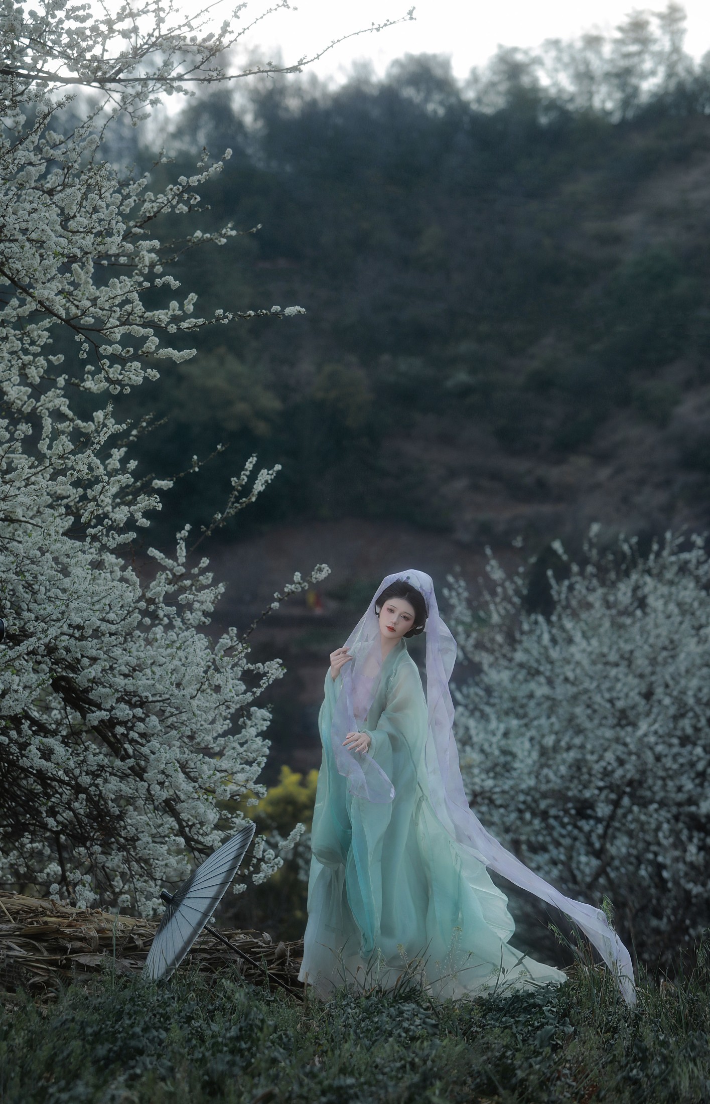 图片[5] - 吾岁岁 - 《春山如黛草如烟》[22P] - 机器猫次元 - 机器猫次元